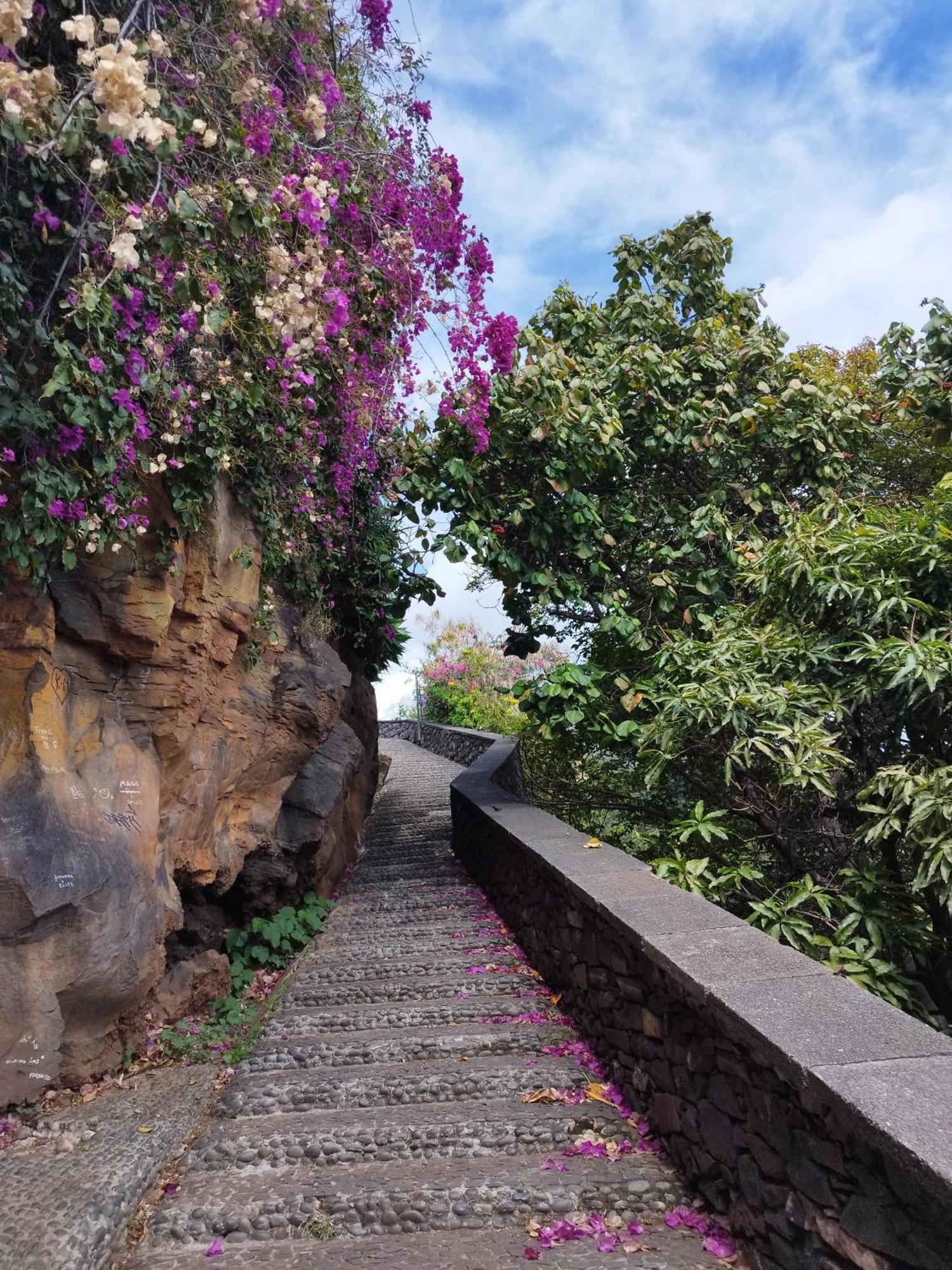 Alexia Bed & Breakfast Funchal (Madeira)