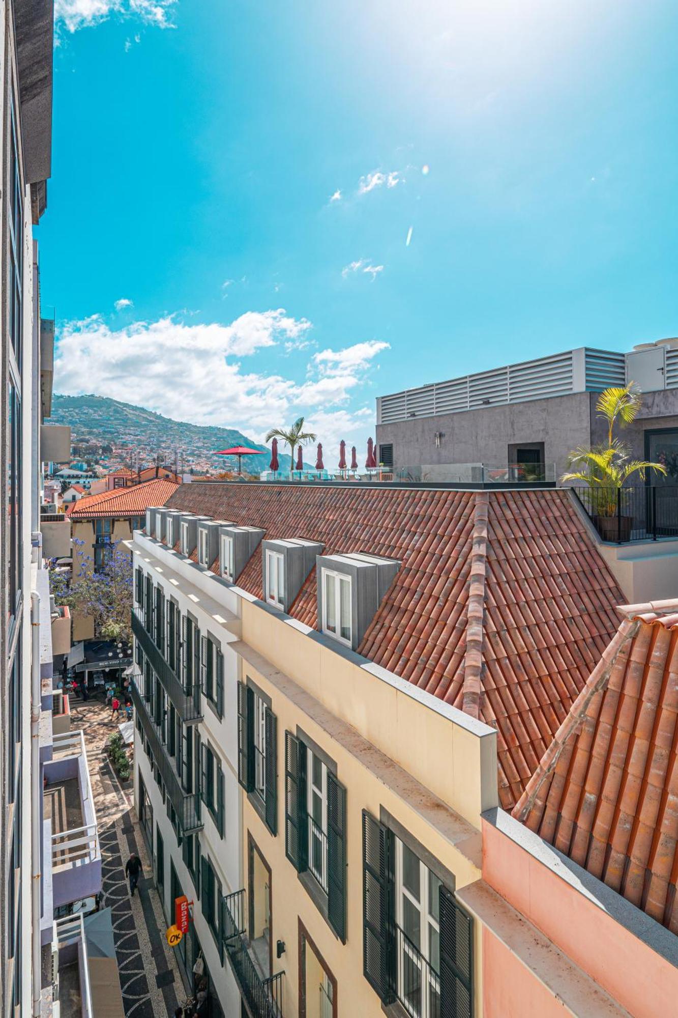 Apartment Old Town T1
