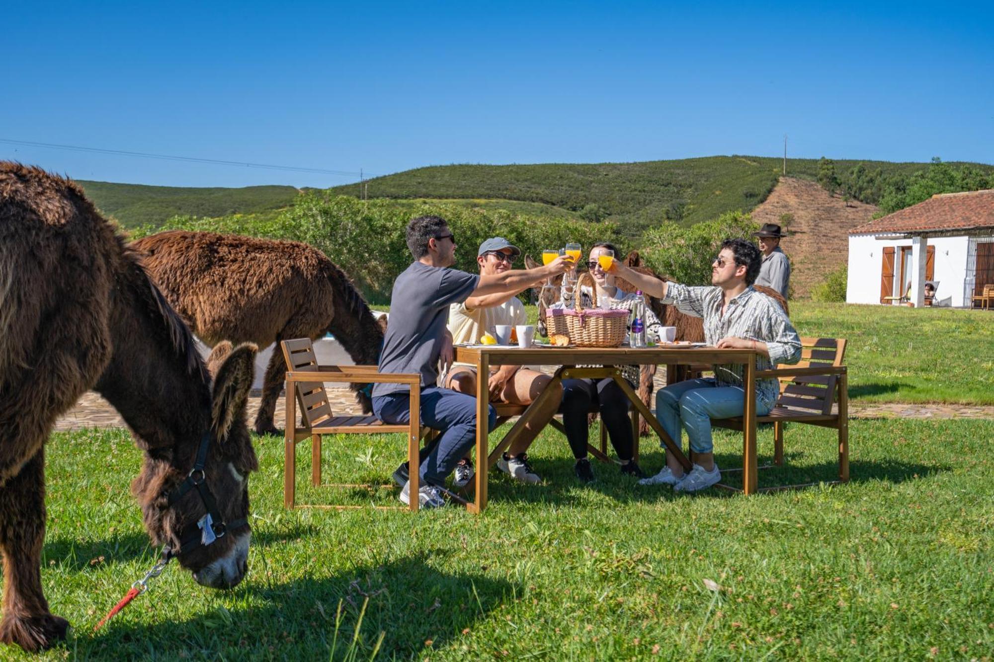 Burro By Host Wise Vakantieboerderij