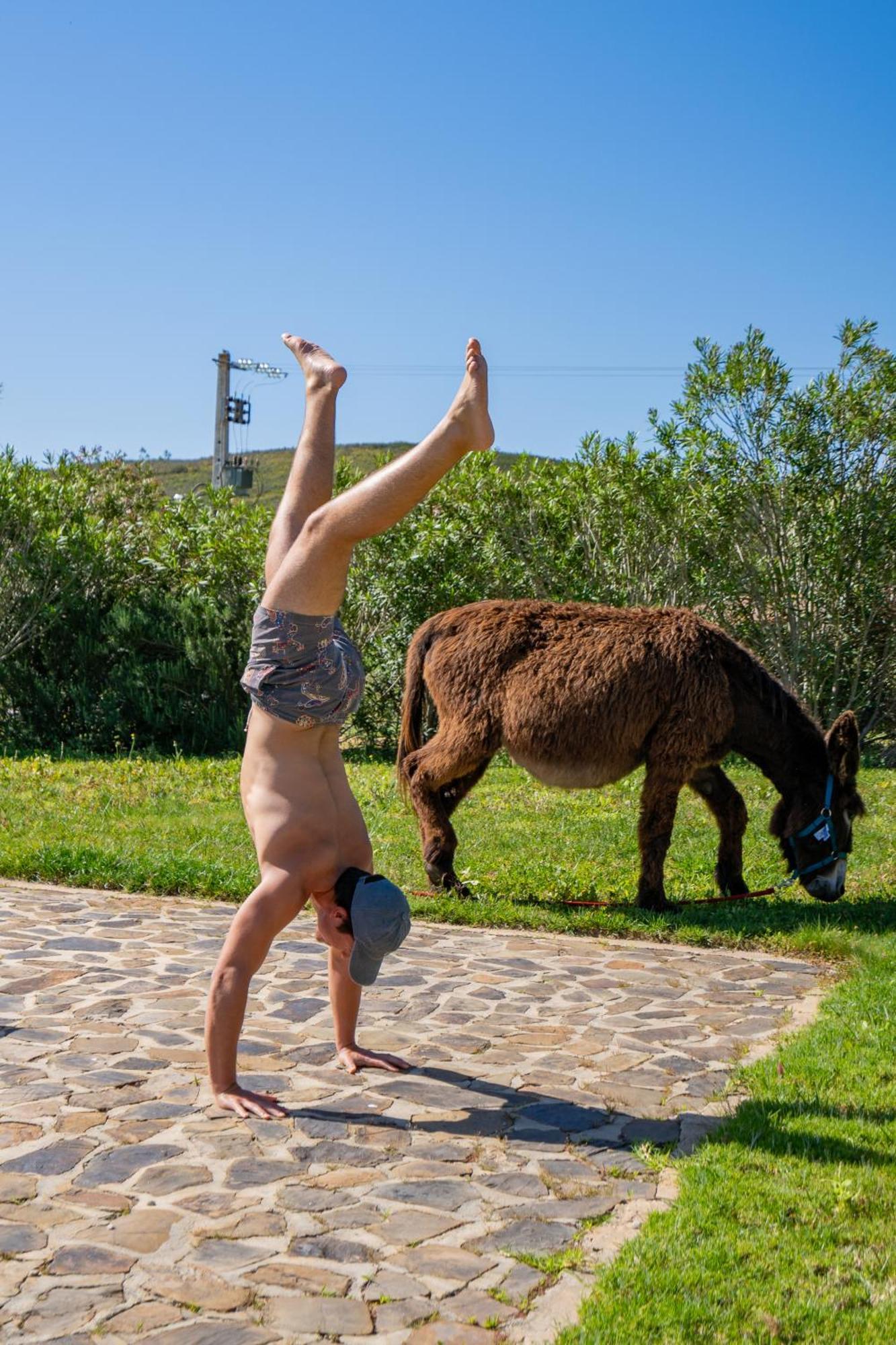 Burro By Host Wise Vakantieboerderij *