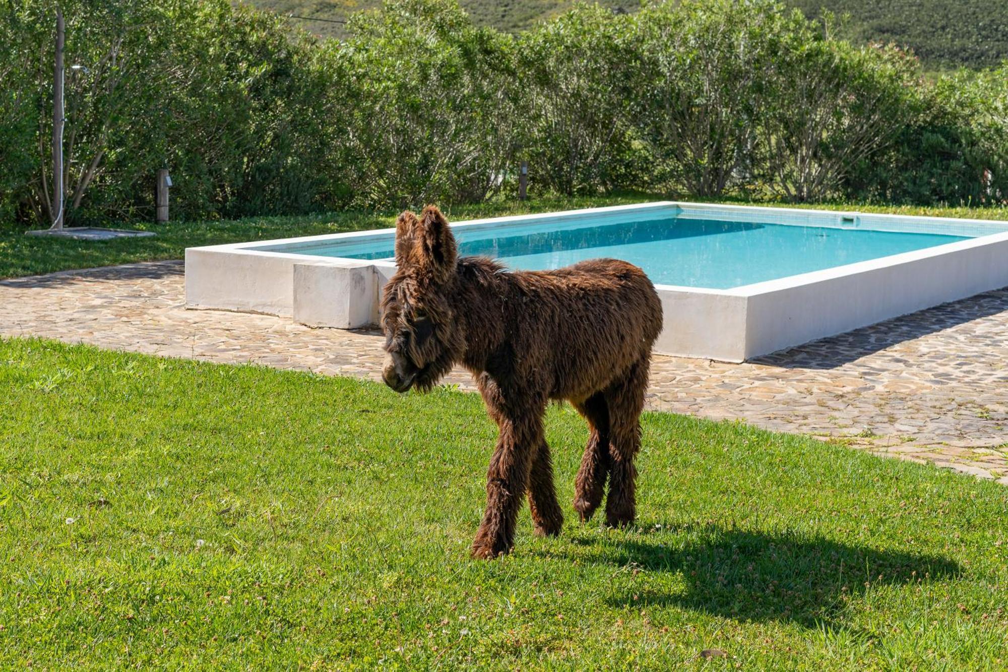 Agroturismo Burro Portimão