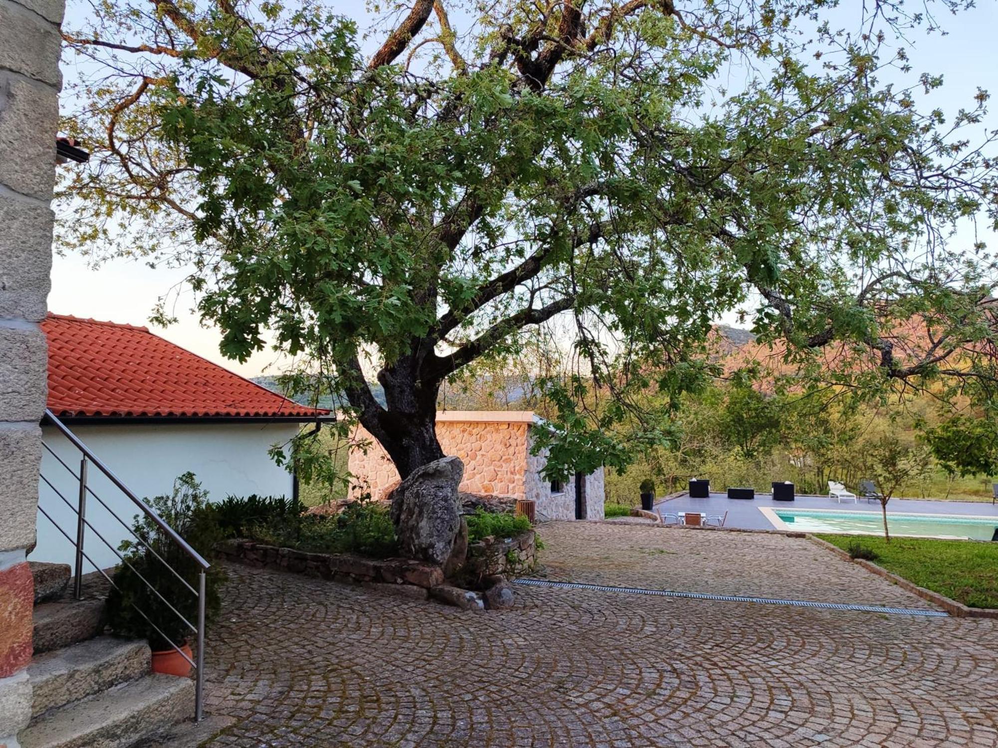 Agroturismo Quinta Dos Carvalhais - Serra Da Estrela *