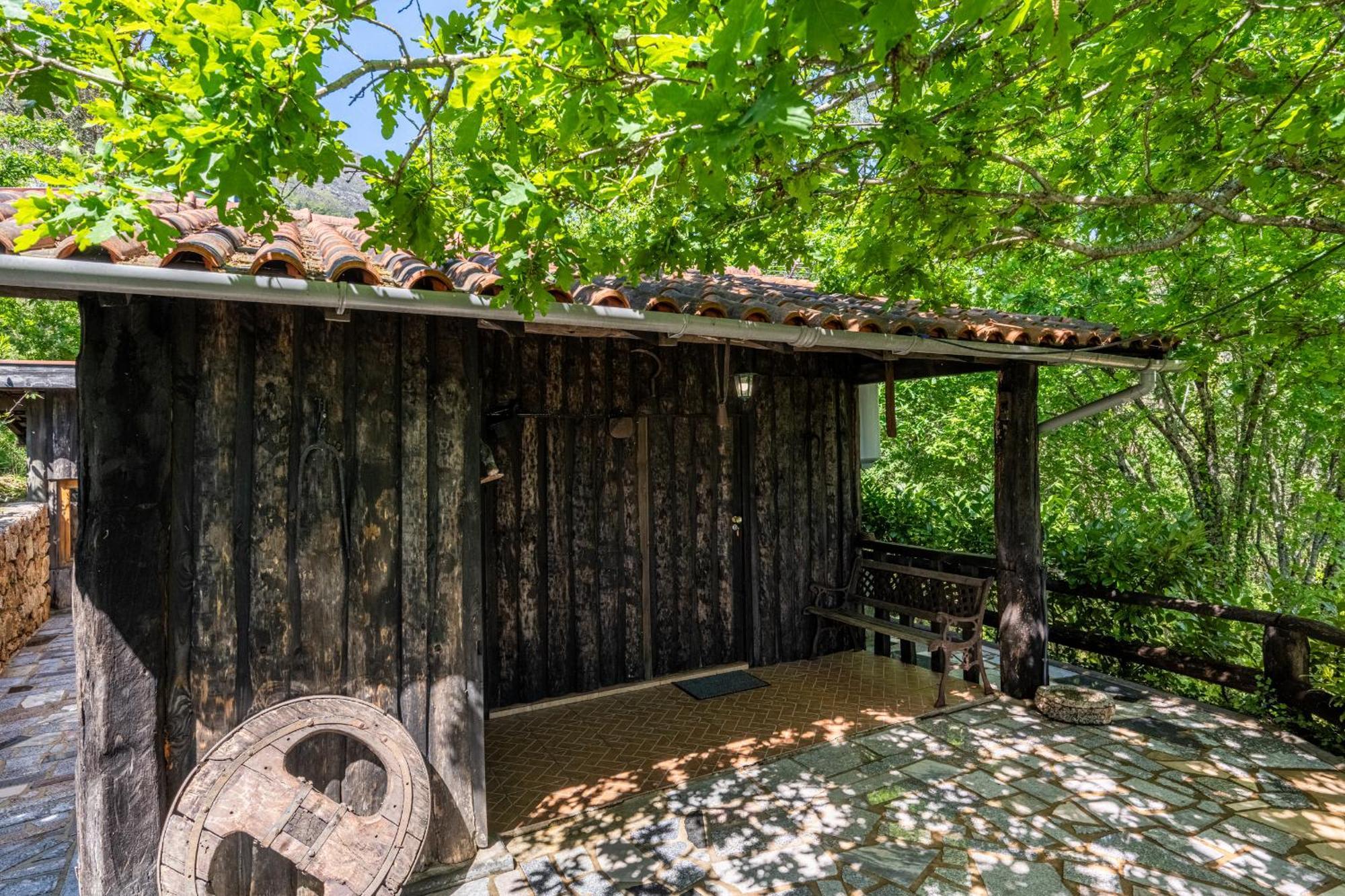 Quinta Da Carvalha Farm stay *