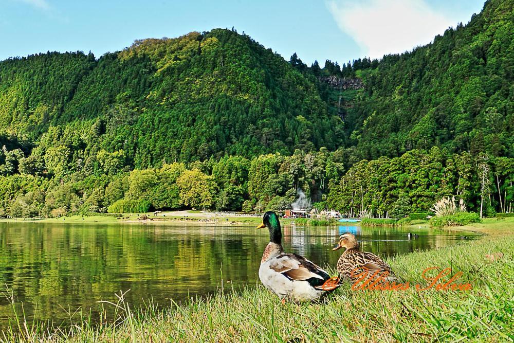 Сasa de vacaciones Casa Do Vale Encantado Furnas (Azores)
