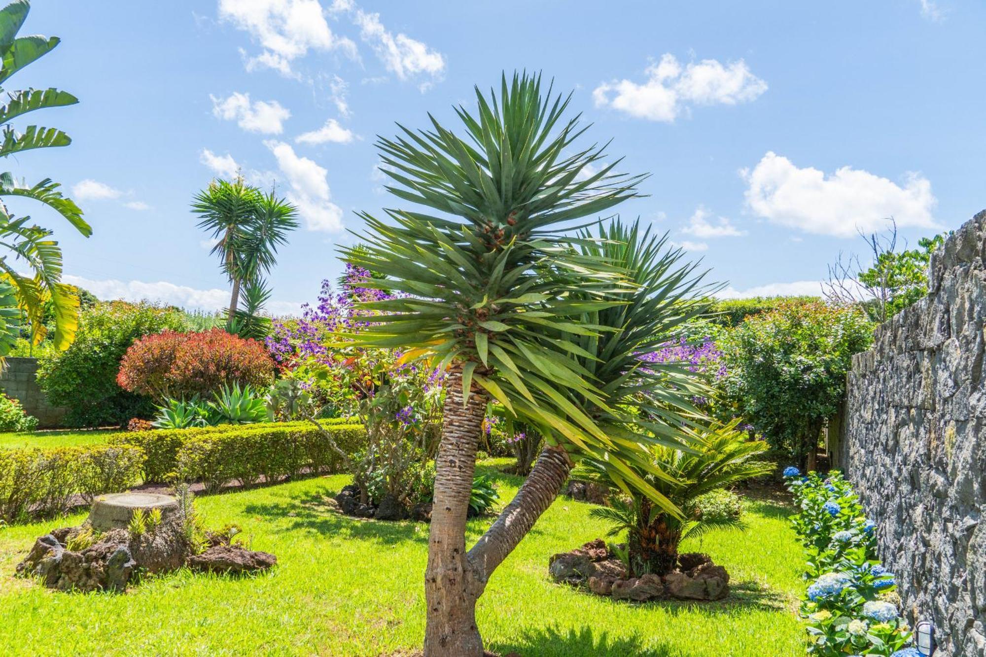 Azores Dreams - Sea View House Ponta Delgada (Sao Miguel)