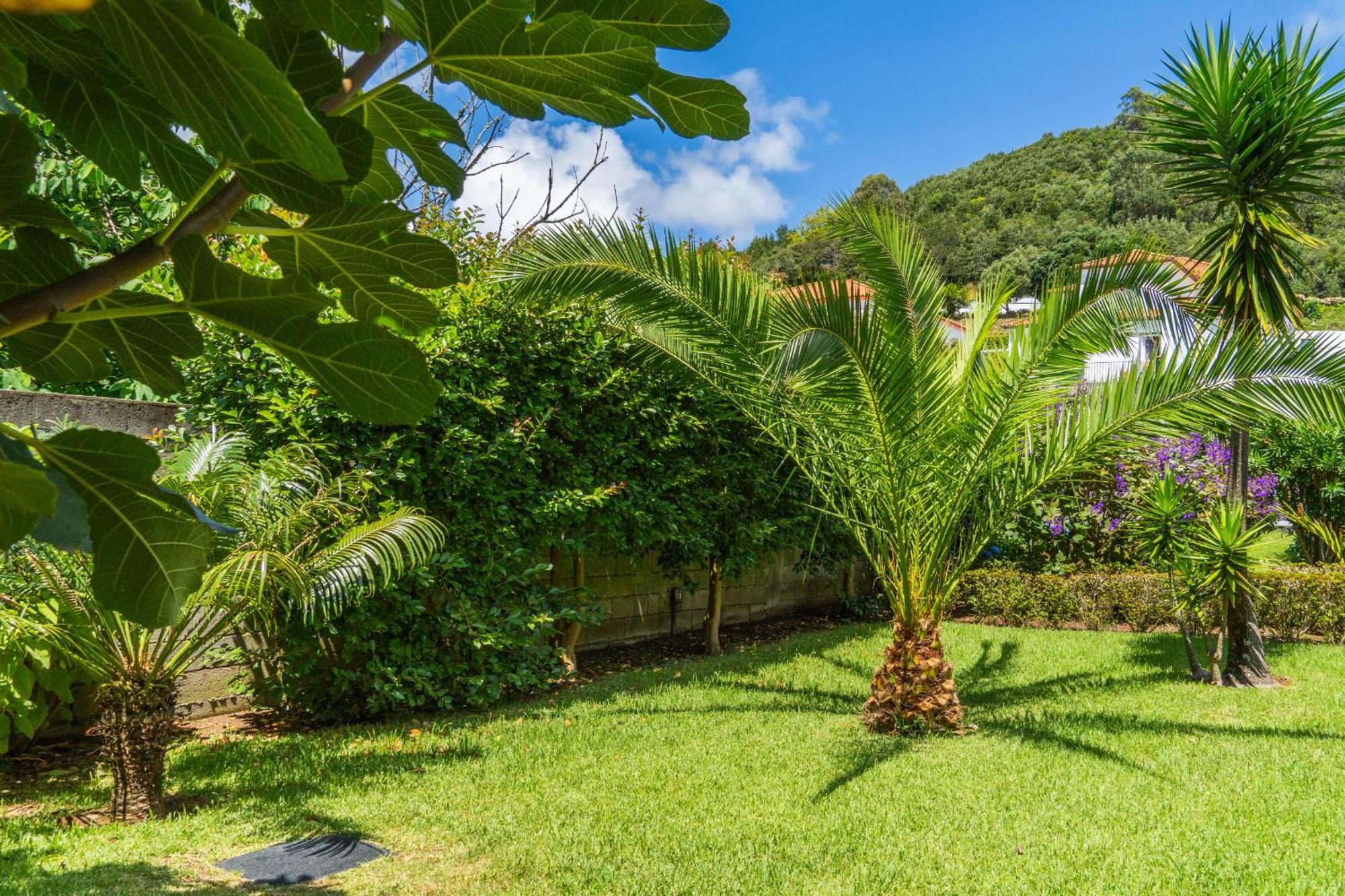 Azores Dreams - Sea View House * Ponta Delgada (Sao Miguel)