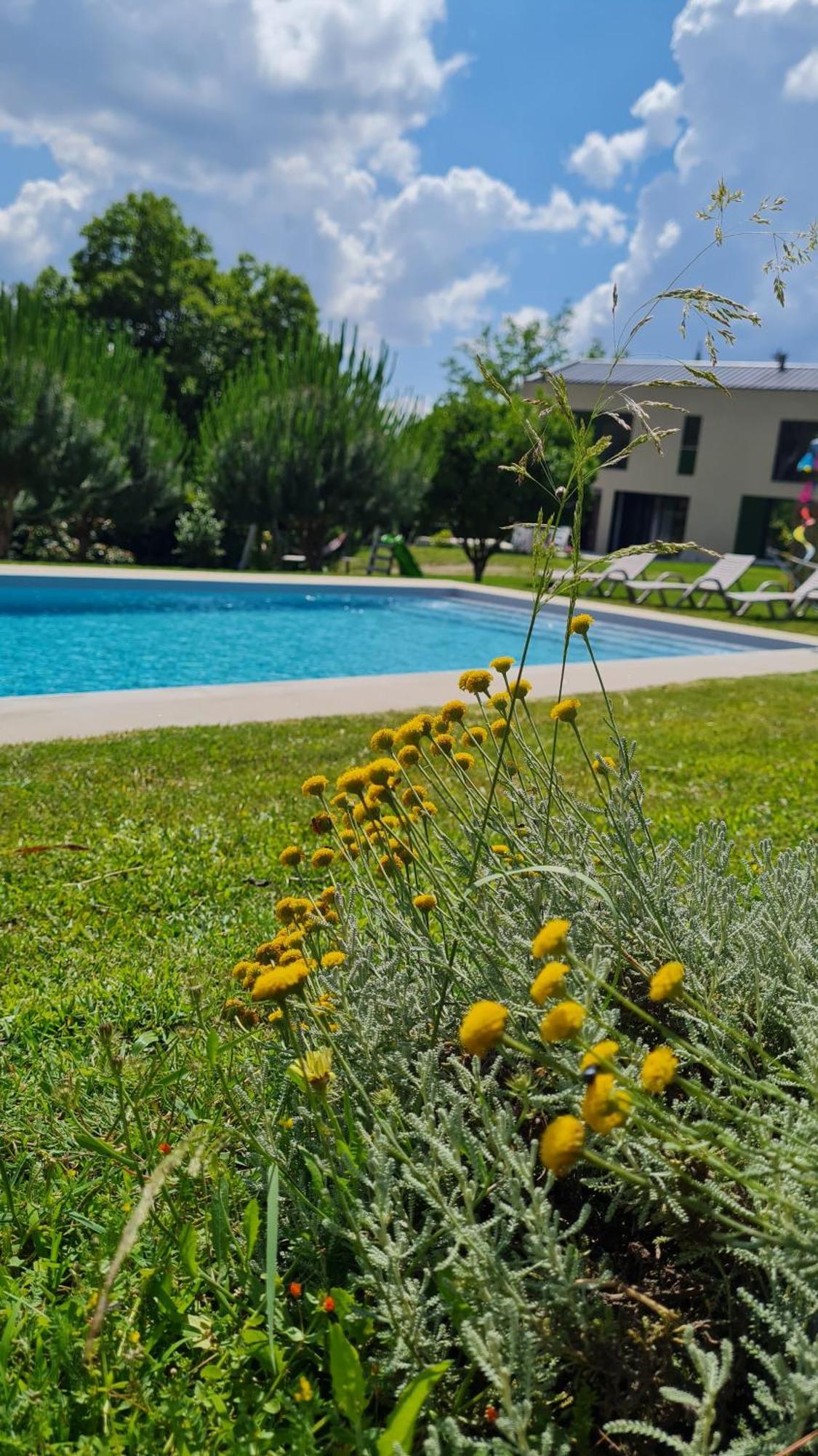 Quinta Do Paul De Baixo