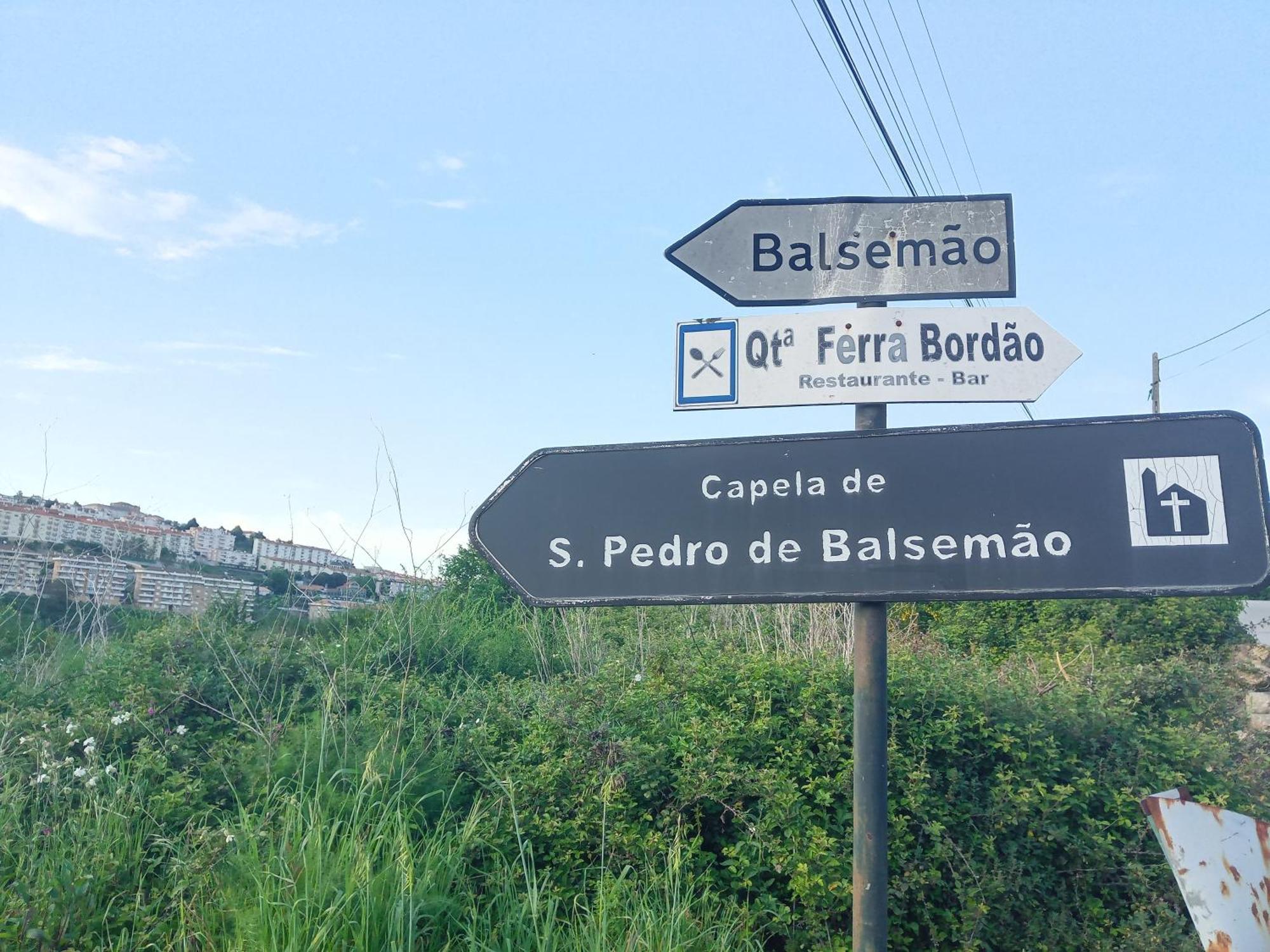 Country house D. Maria Sao Pedro De Balsemao