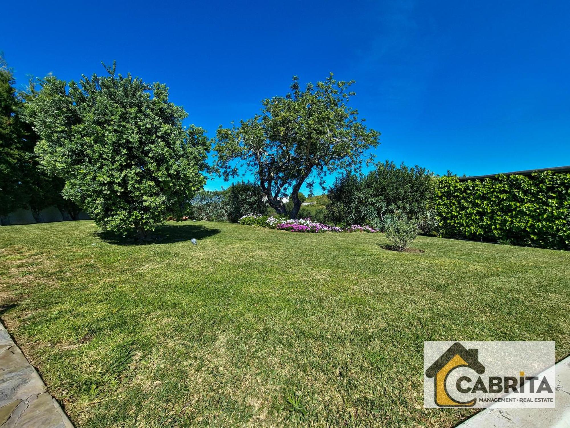 Quinta Dos Medronheiros Holiday home Altura