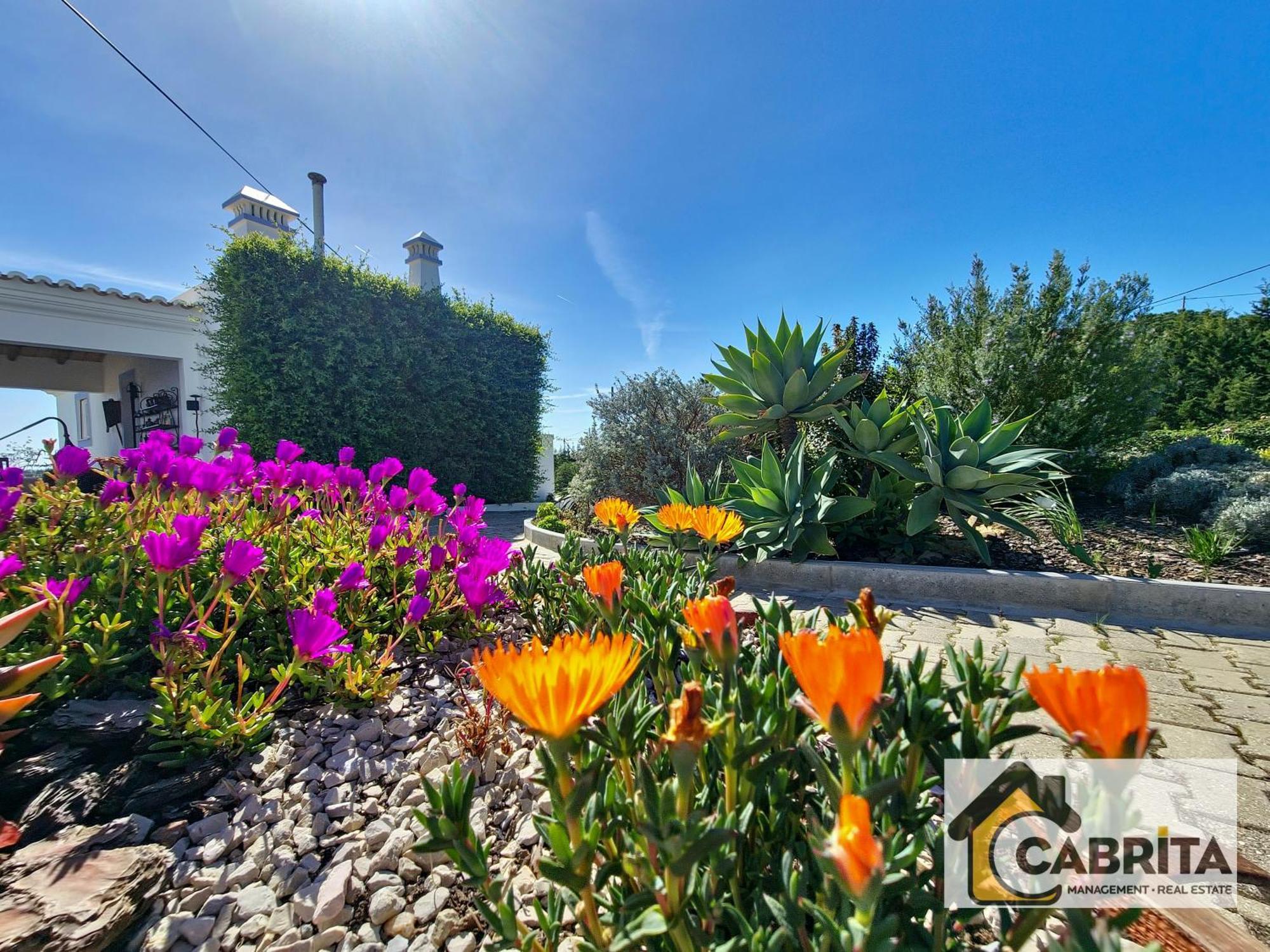 Quinta Dos Medronheiros Holiday home Altura