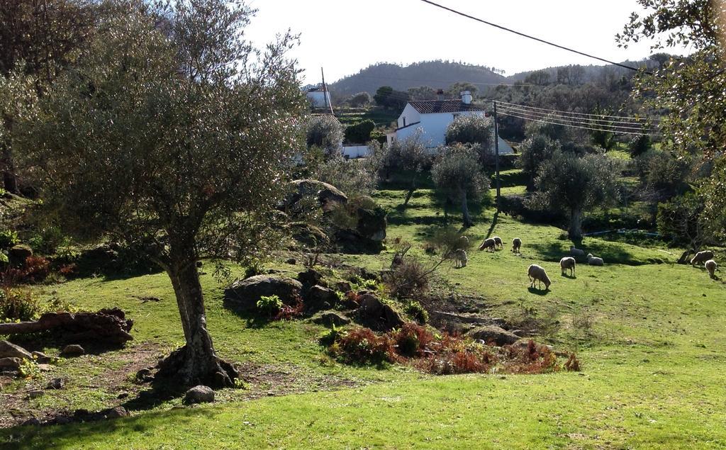 Refugio Da Maceira * Marvao (Portalegre)