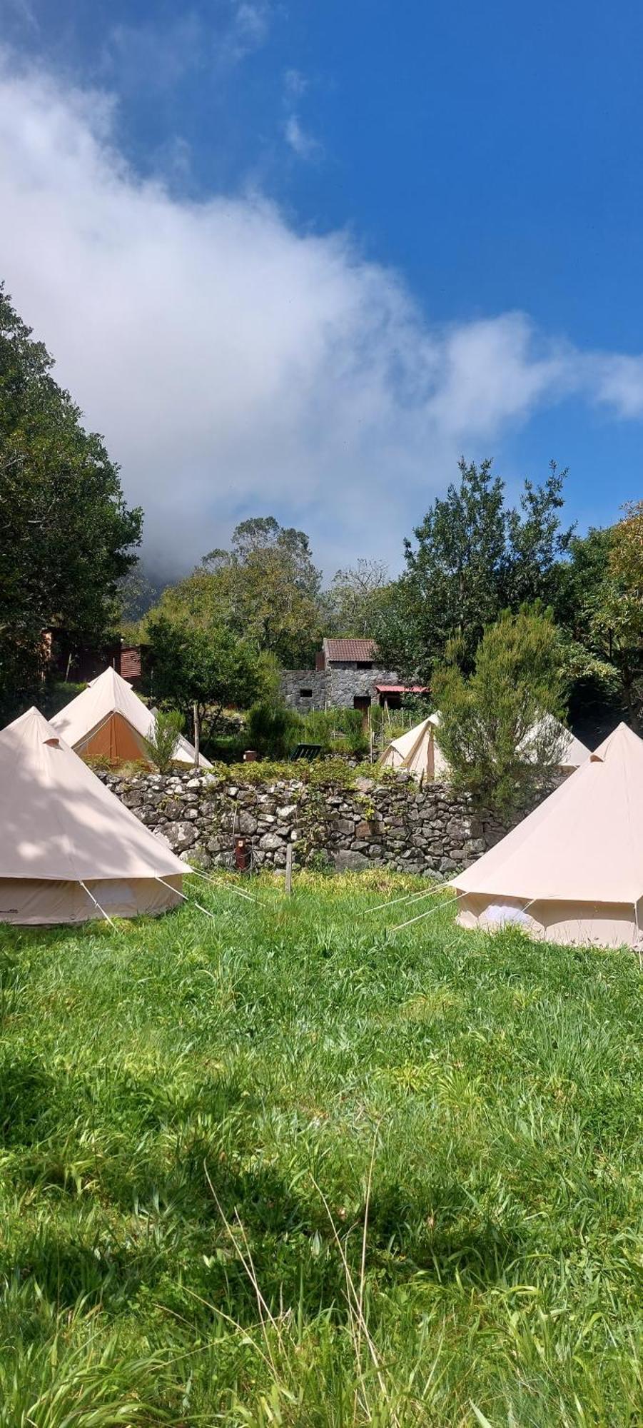 Tenda de luxo Nature Retreat - Laurel Forest Seixal (Madeira)