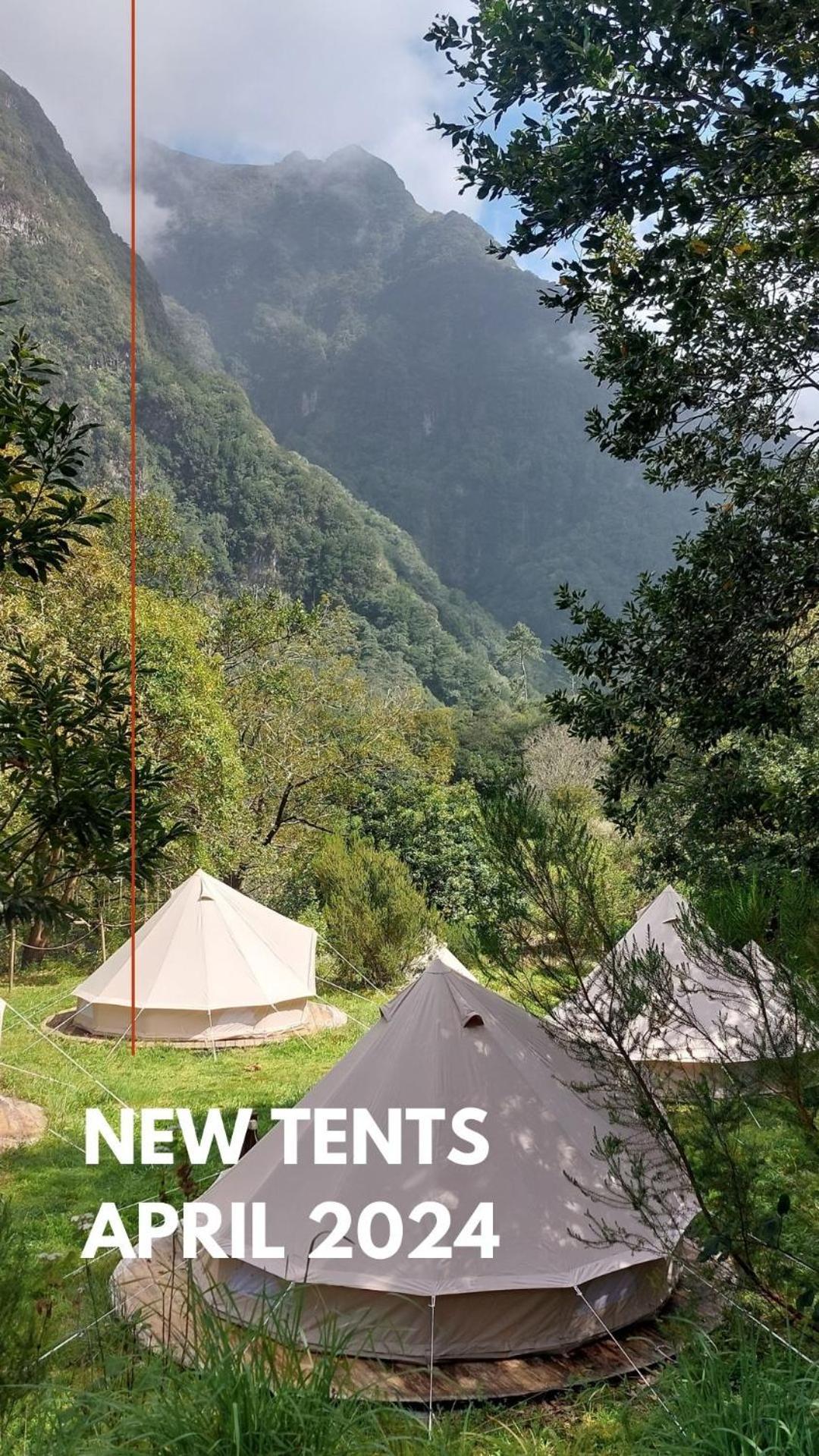 Nature Retreat - Laurel Forest *