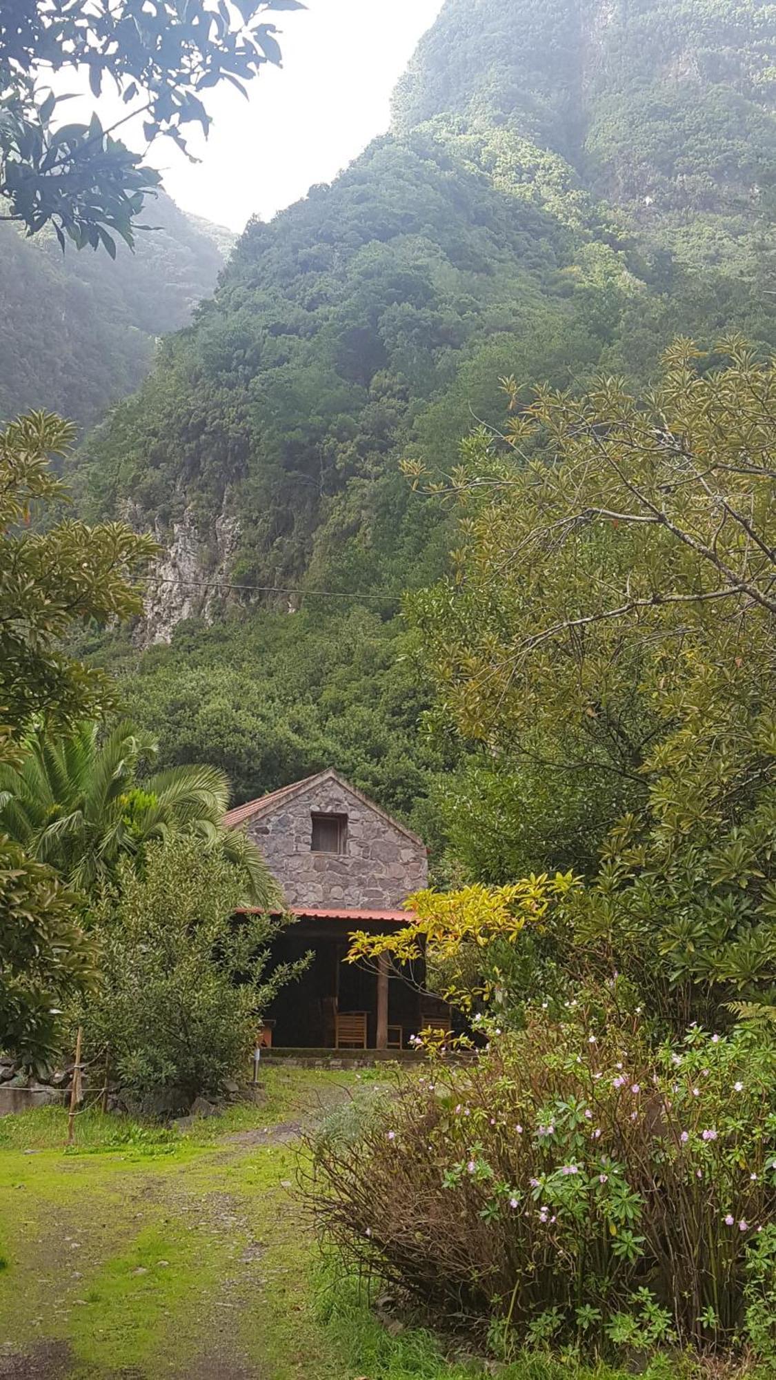 Tenda de luxo Nature Retreat - Laurel Forest