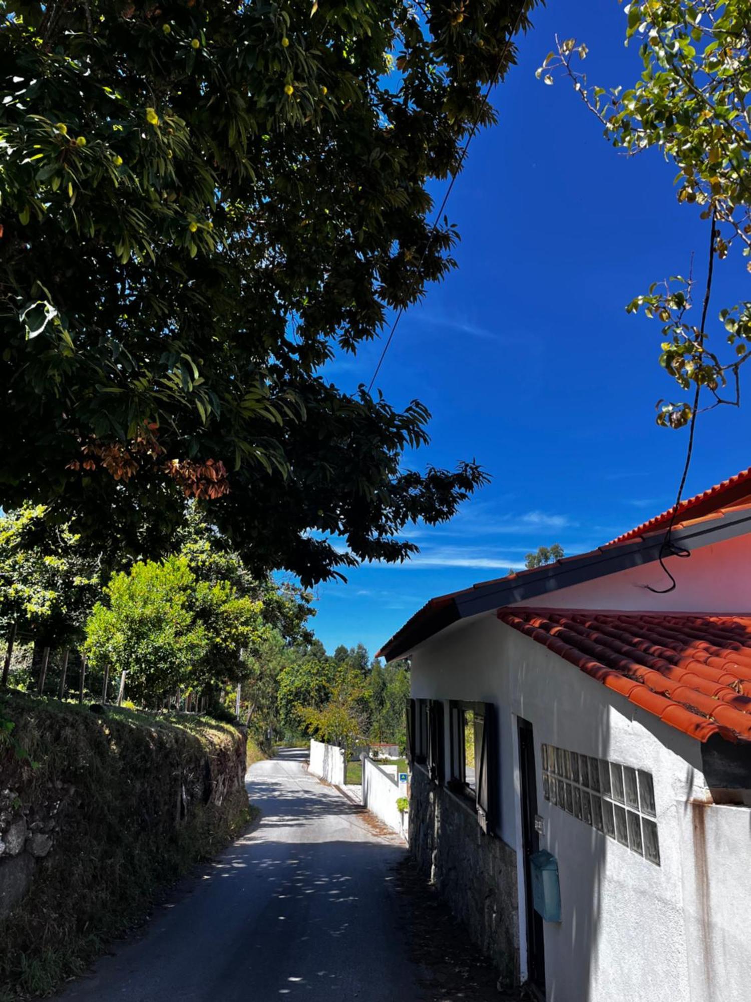 Glamping De Cerveira