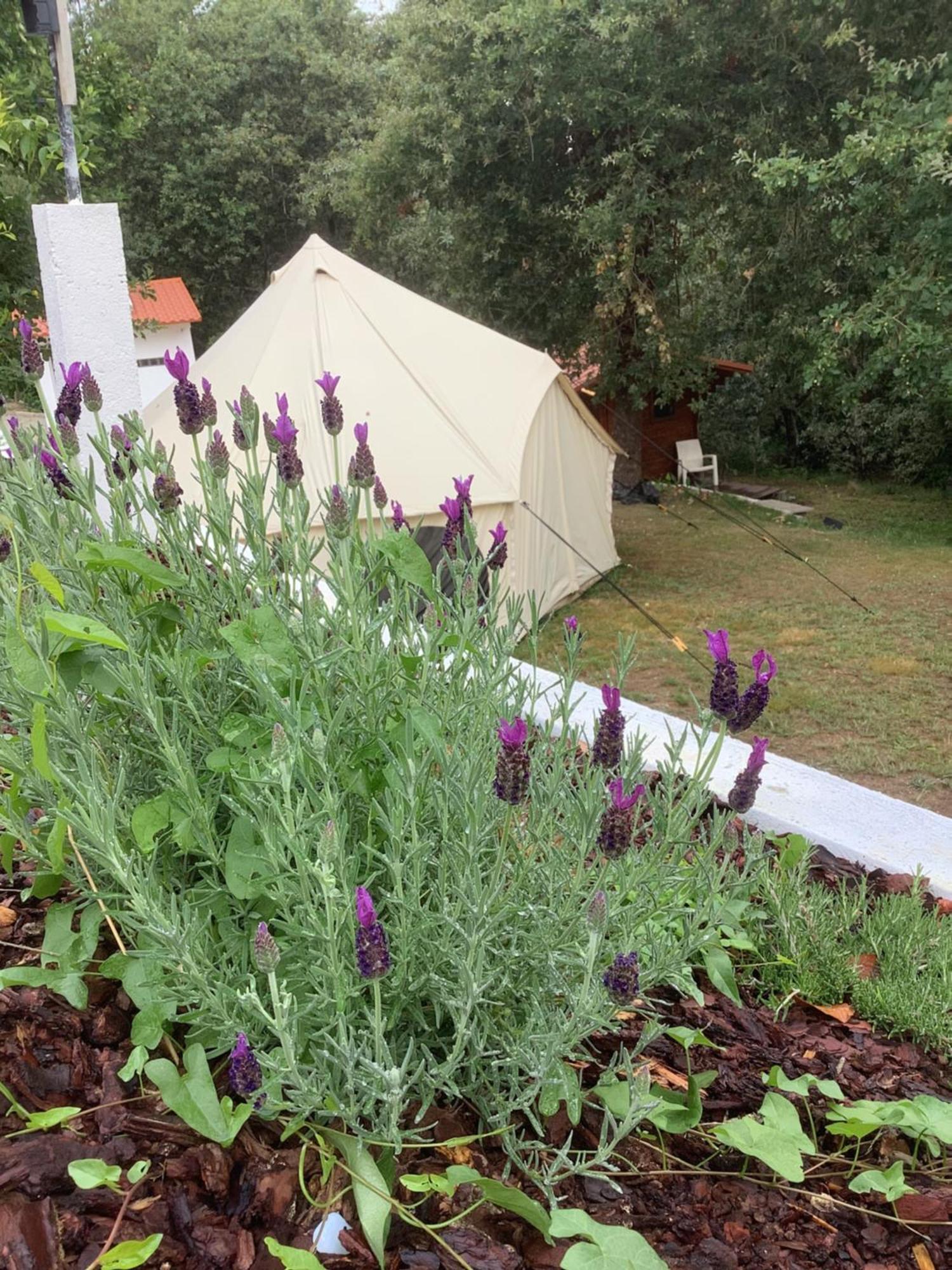 Campsite Glamping De Cerveira Vila Nova de Cerveira