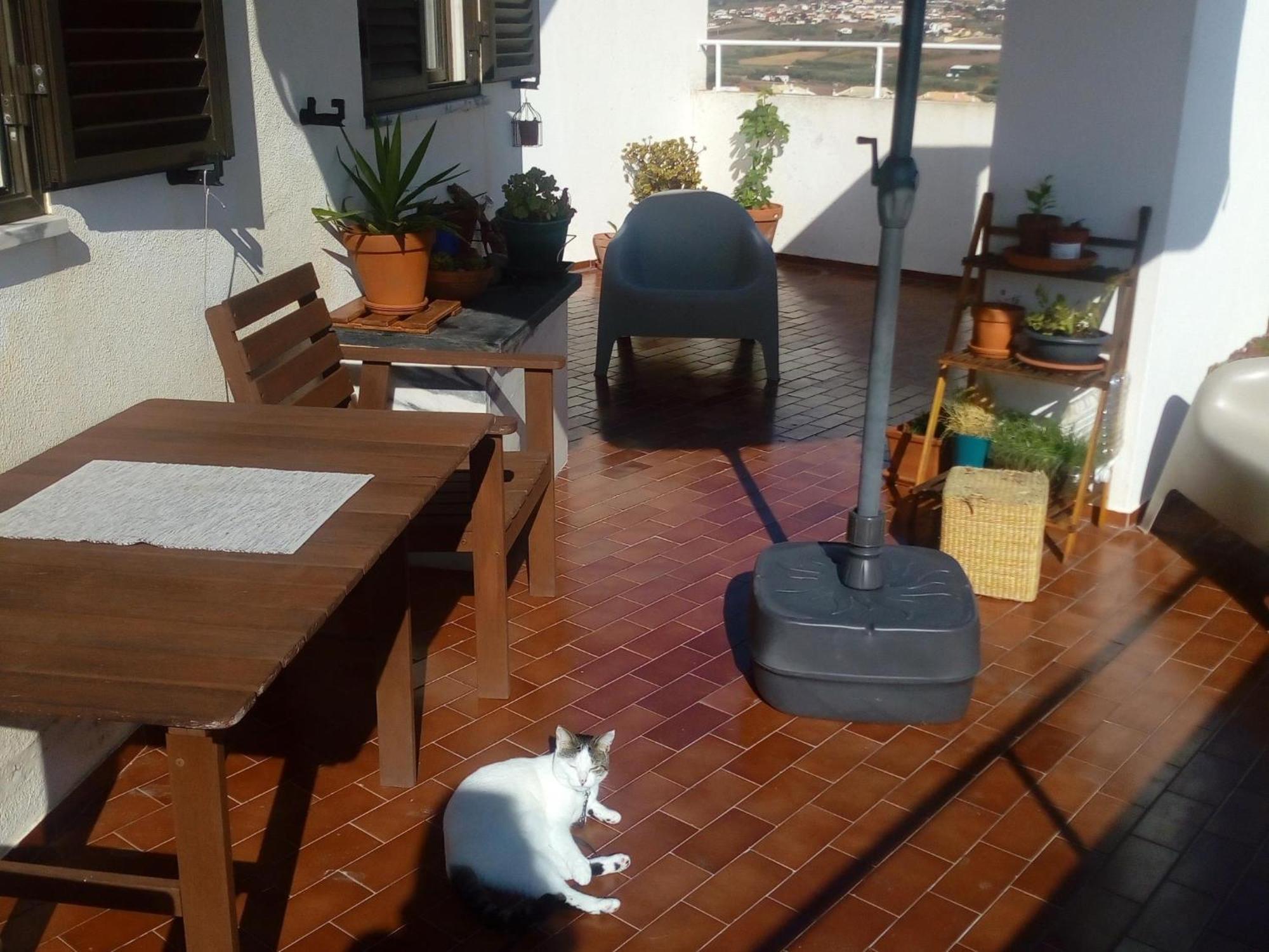 Casa Da Torre Rooftop Terrace *