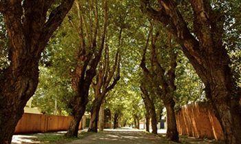 Roses Village Hotel 4*