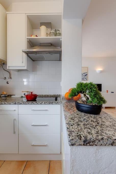 Solemar - Ocean View 1 Bedroom For 4 In Carvoeiro Carvoeiro (Lagoa)