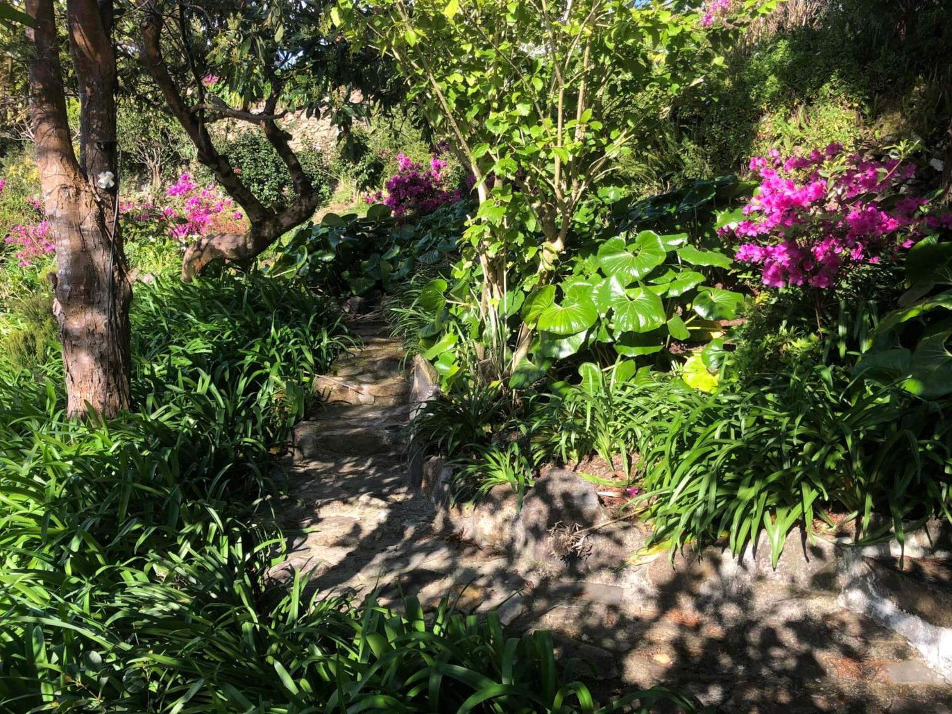 Holiday home Flores Garden Retreat *