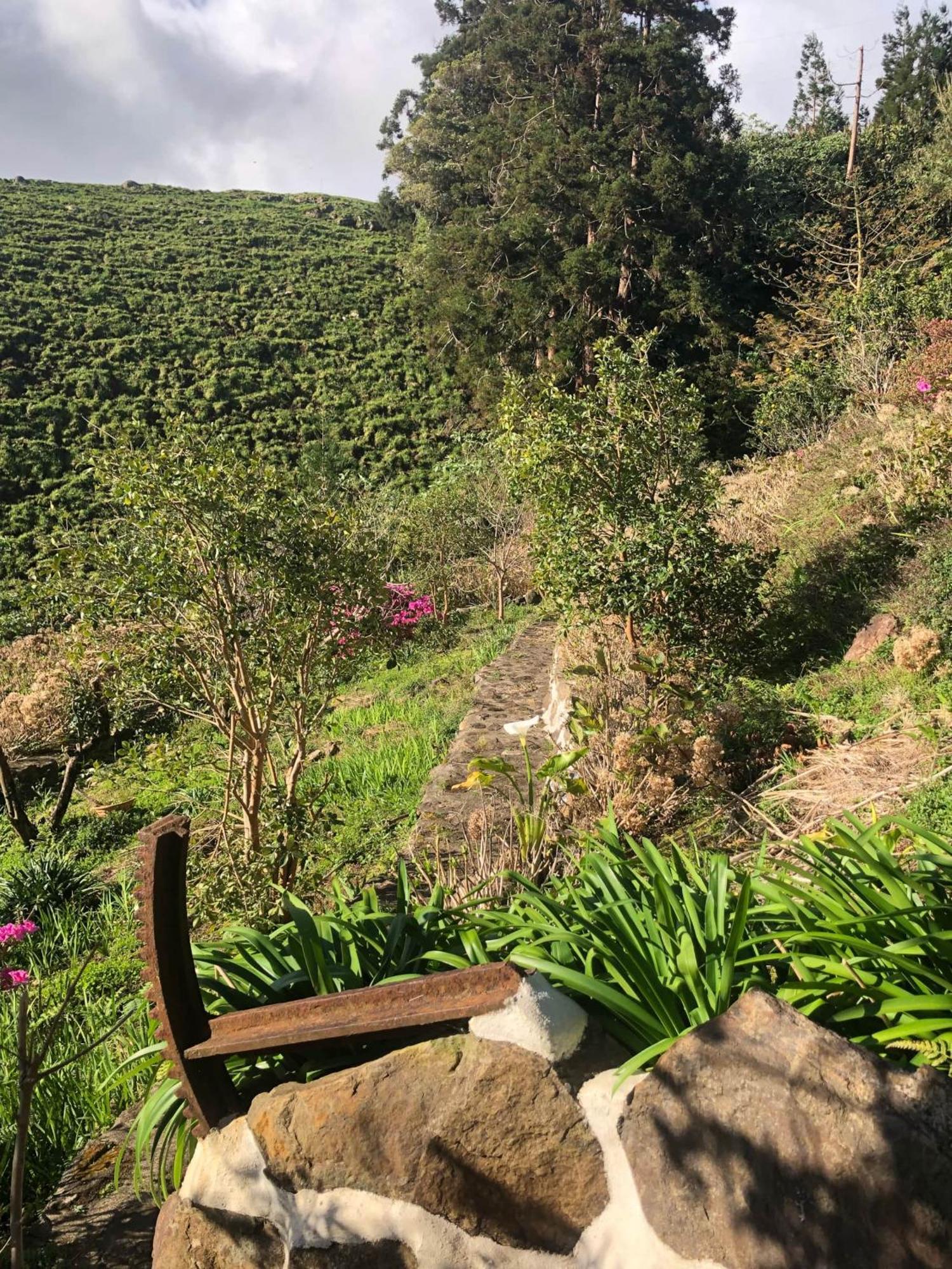 Flores Garden Retreat Holiday home *