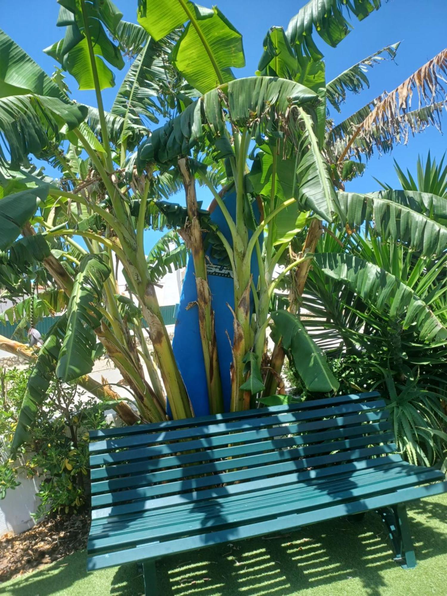 Apartamento Su Villa's Ericeira