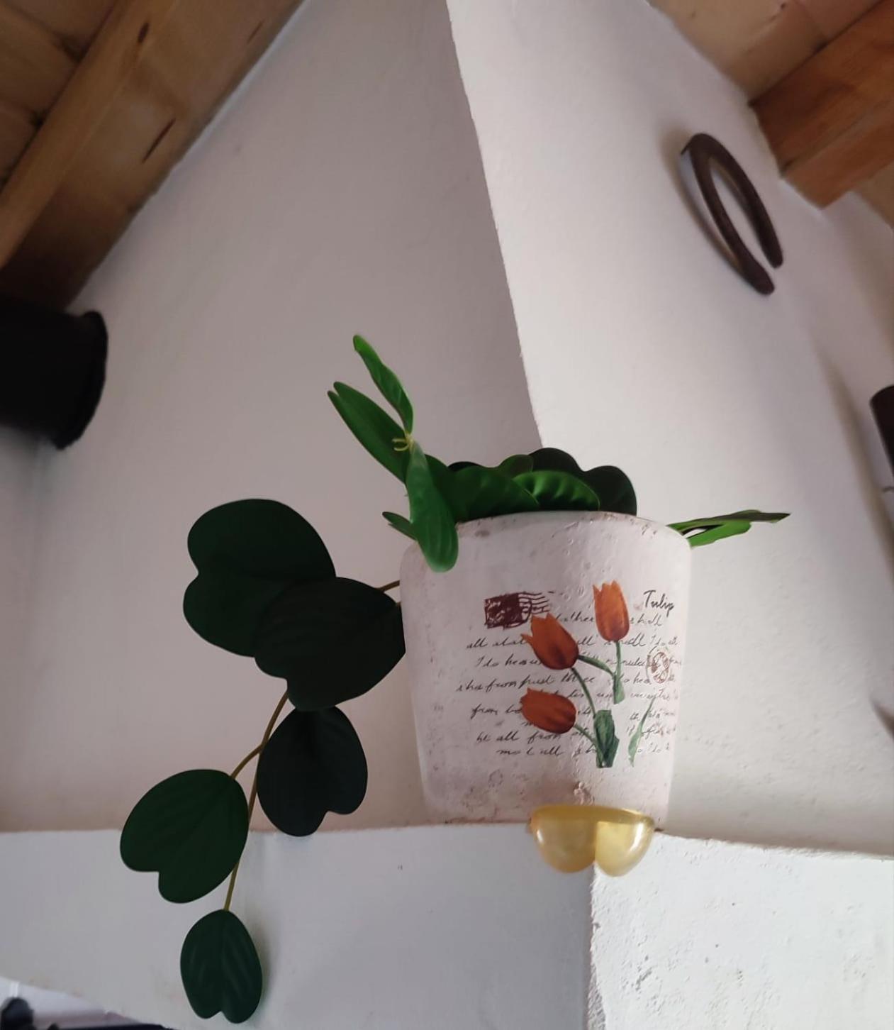 Holiday home 10 Da Muralha