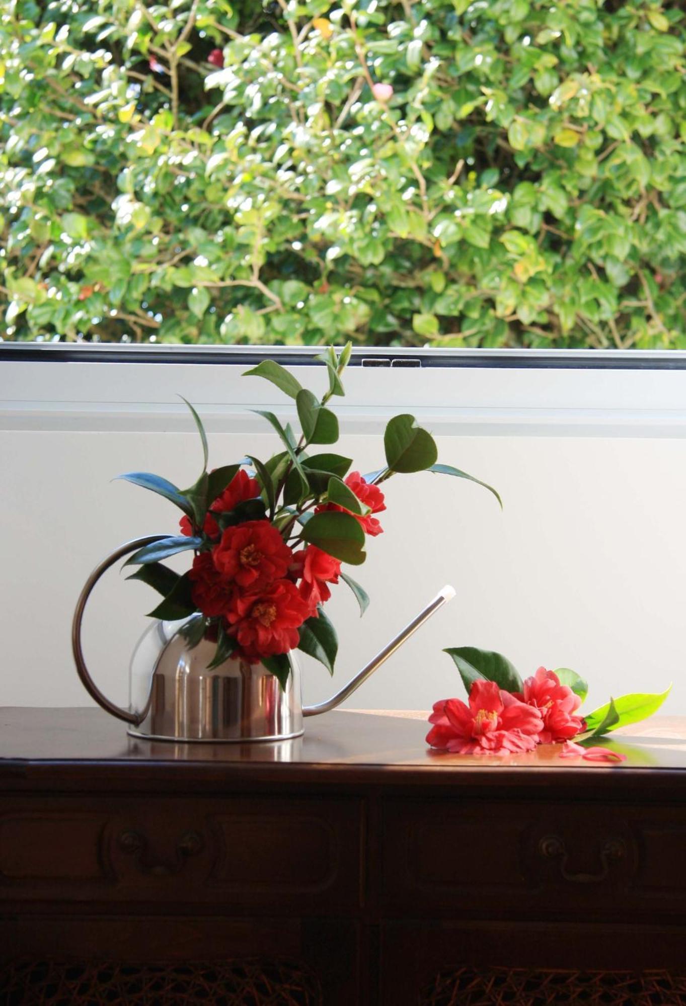 Quinta Atlantis Bed & Breakfast Povoacao (Sao Miguel)