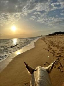 Algarve Apartment Albufeira