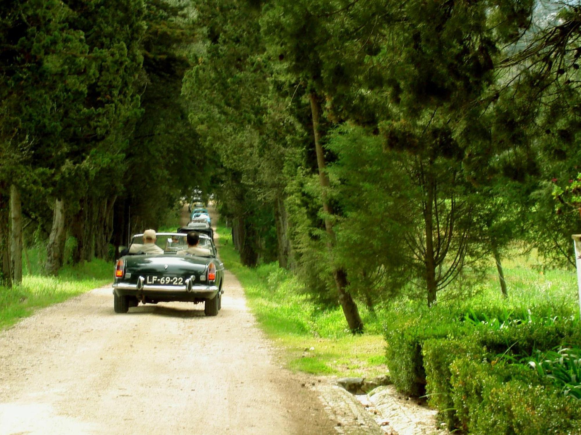 Farm stay Quinta Da Alcaidaria Mor *