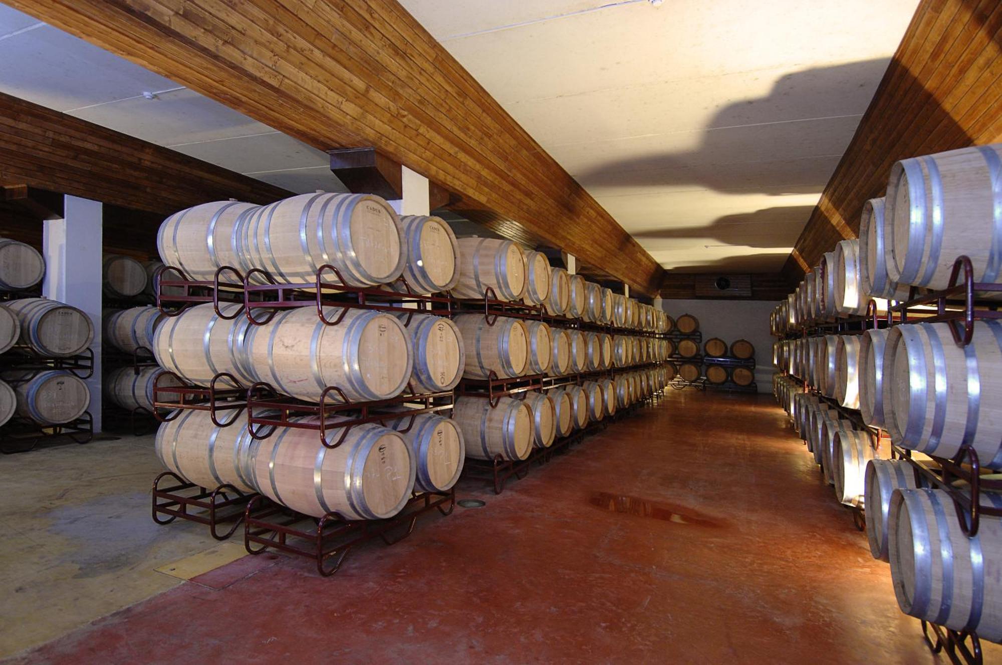 Gale Alentejo Vineyard - Clube De Campo Albernoa
