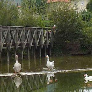 Quinta Mineirinhas