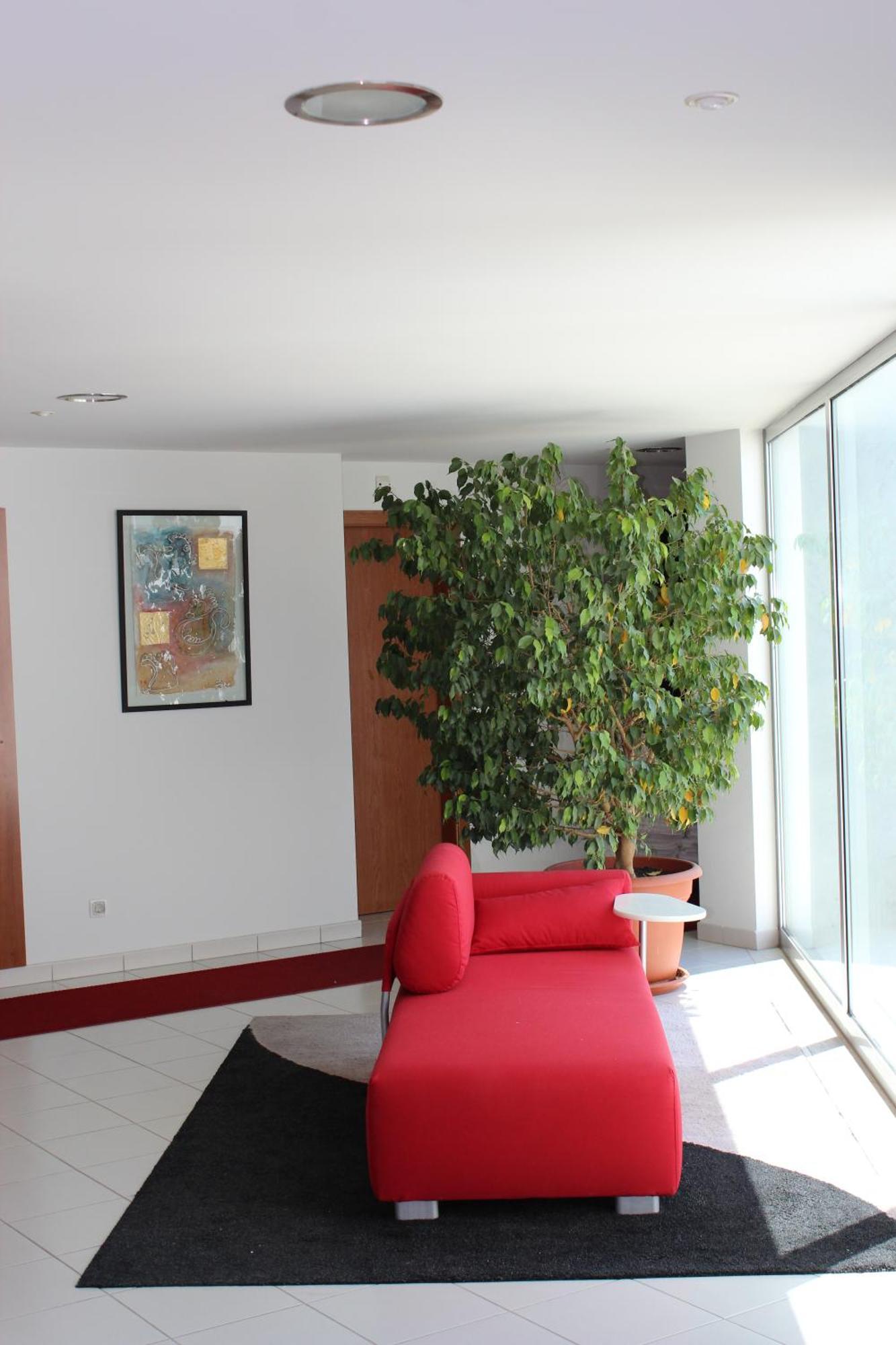Hotel Sao Sebastiao De Boliqueime
