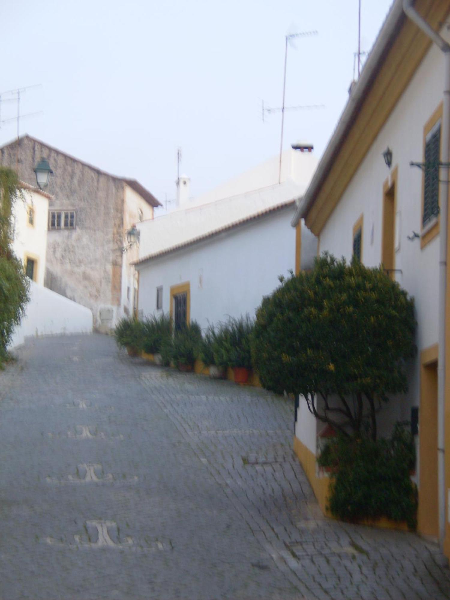 Casa Joao Chagas Guesthouse, Constancia, By Viva A Vida - Alojamentos E