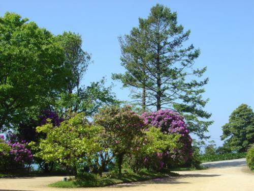 Quinta De Valverde Viana do Castelo