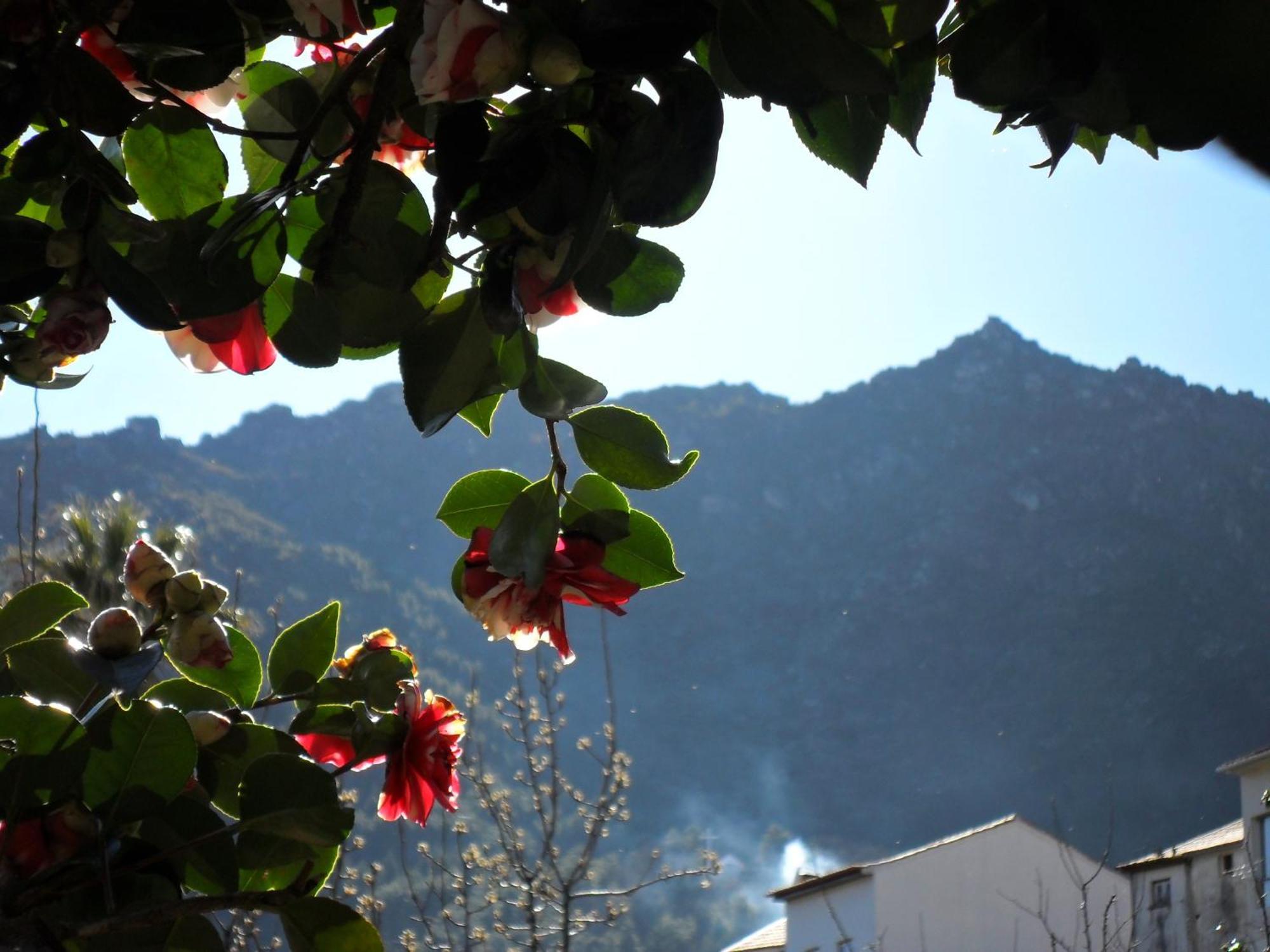 Bed & Breakfast Casa Obras Manteigas
