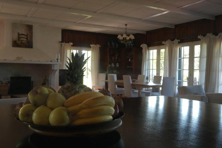 Guest house Casal Do Frade