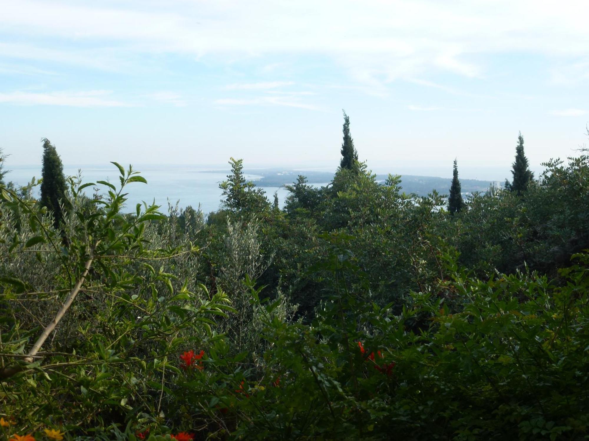 Ha Mar Ao Luar Setubal