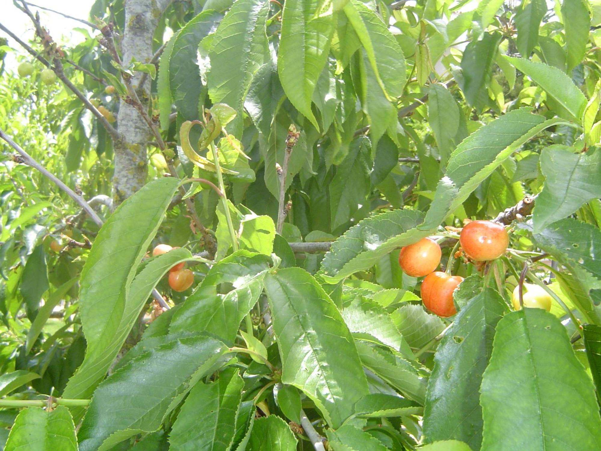 Bed & Breakfast Quinta Dos Oliveiras 3*