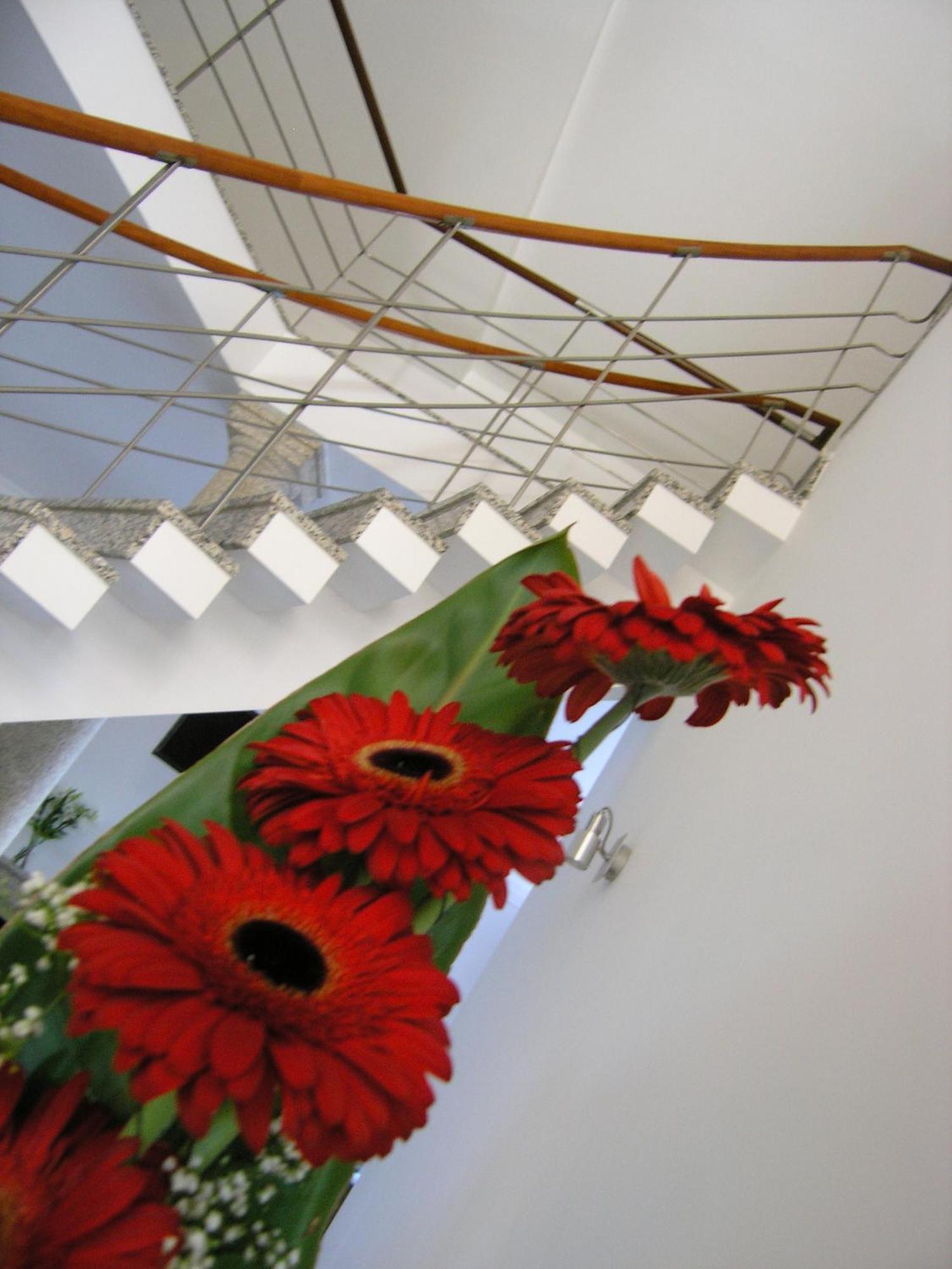 Guest house Casa De Alpajares - &