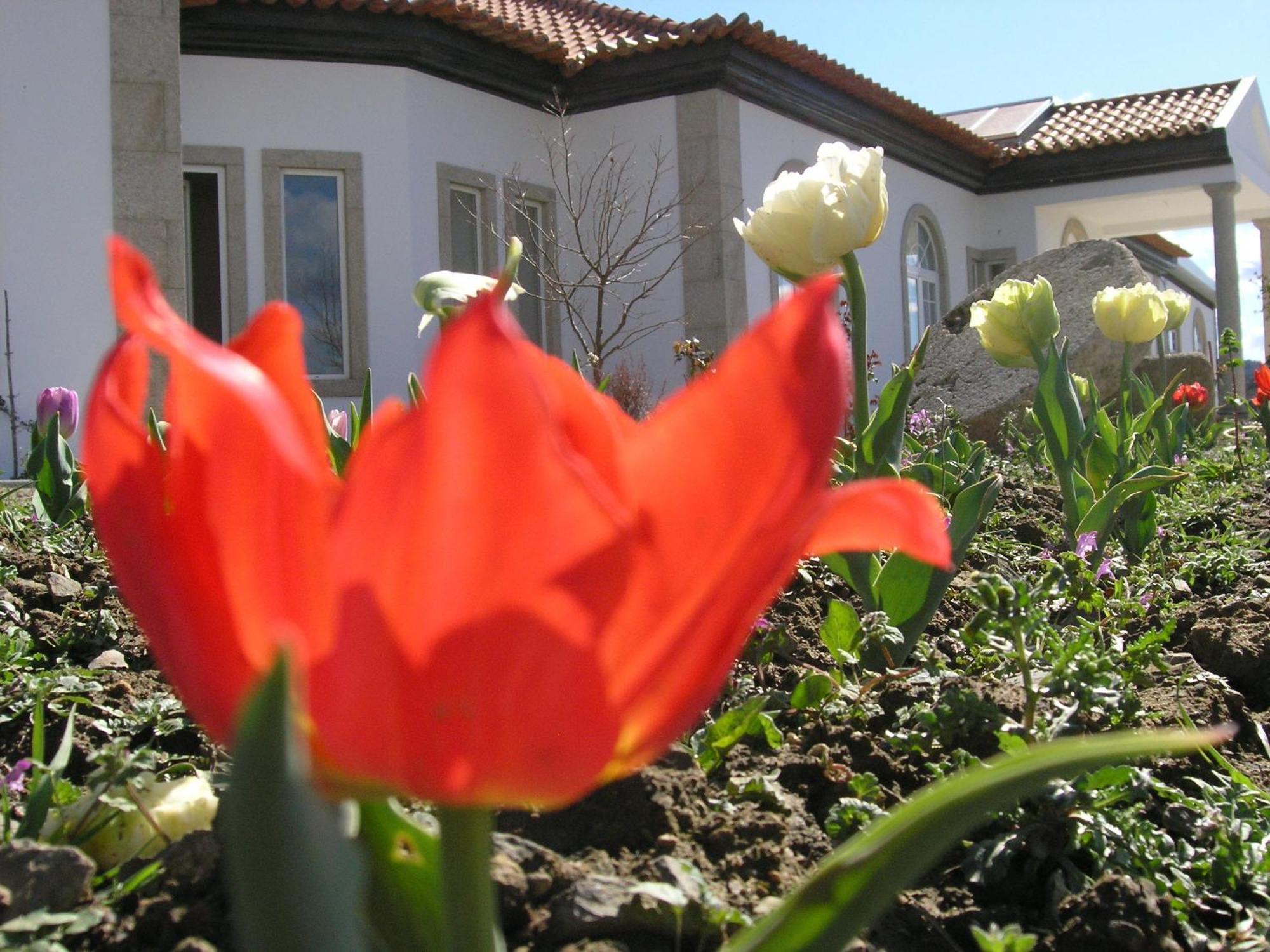 Guest house Casa De Alpajares - & *