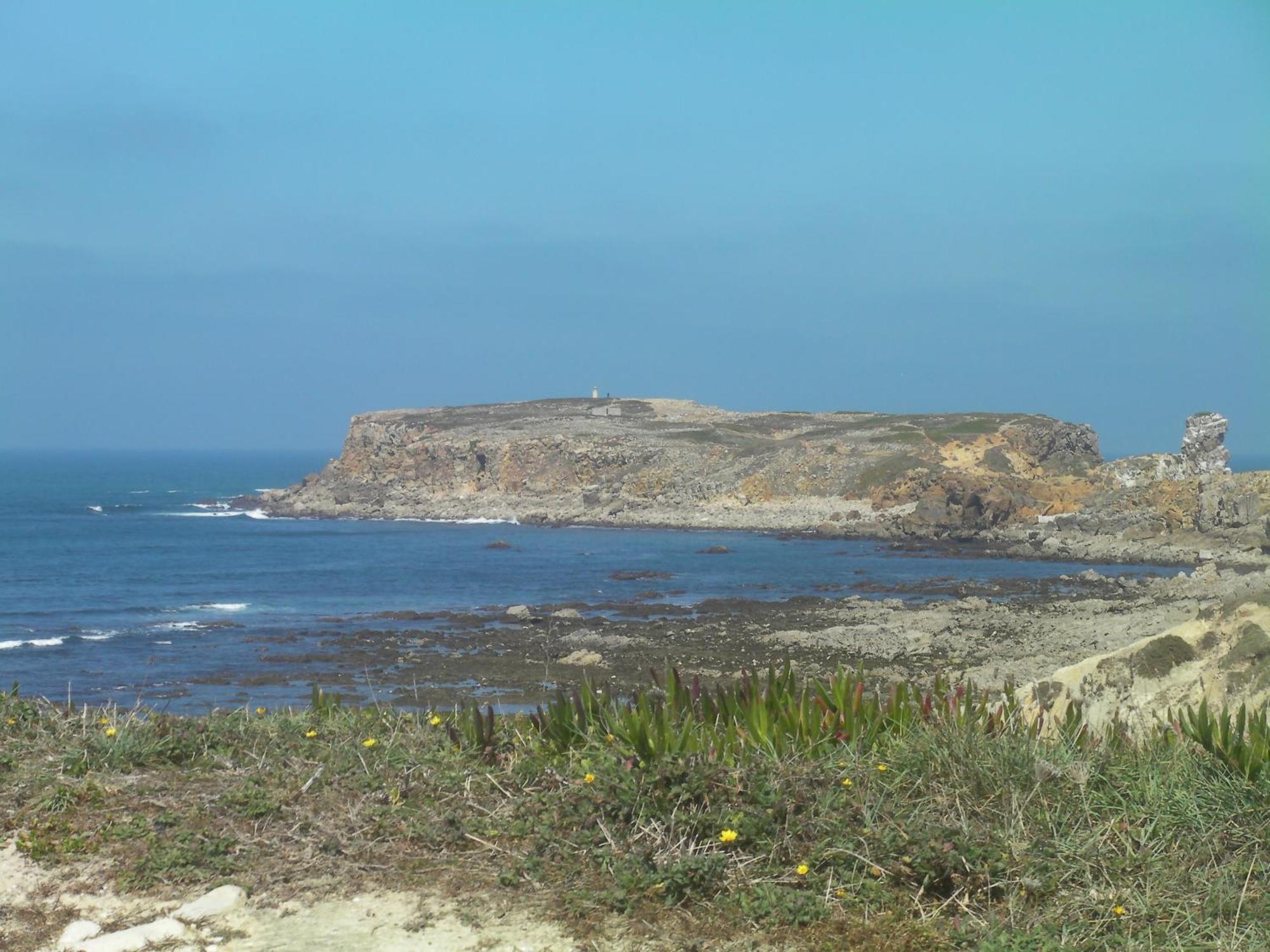 Surf 1