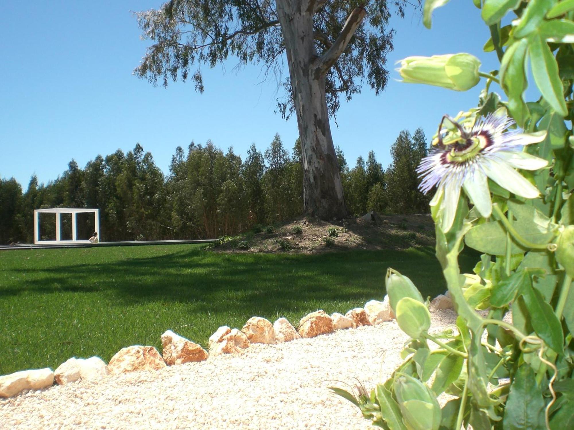 Casas Da Lupa