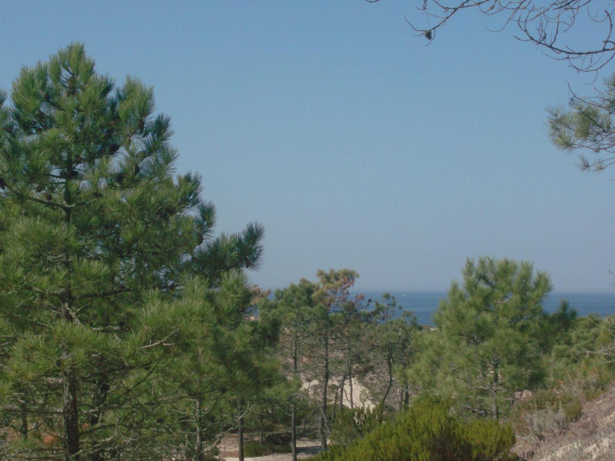 Local E Mar Comporta