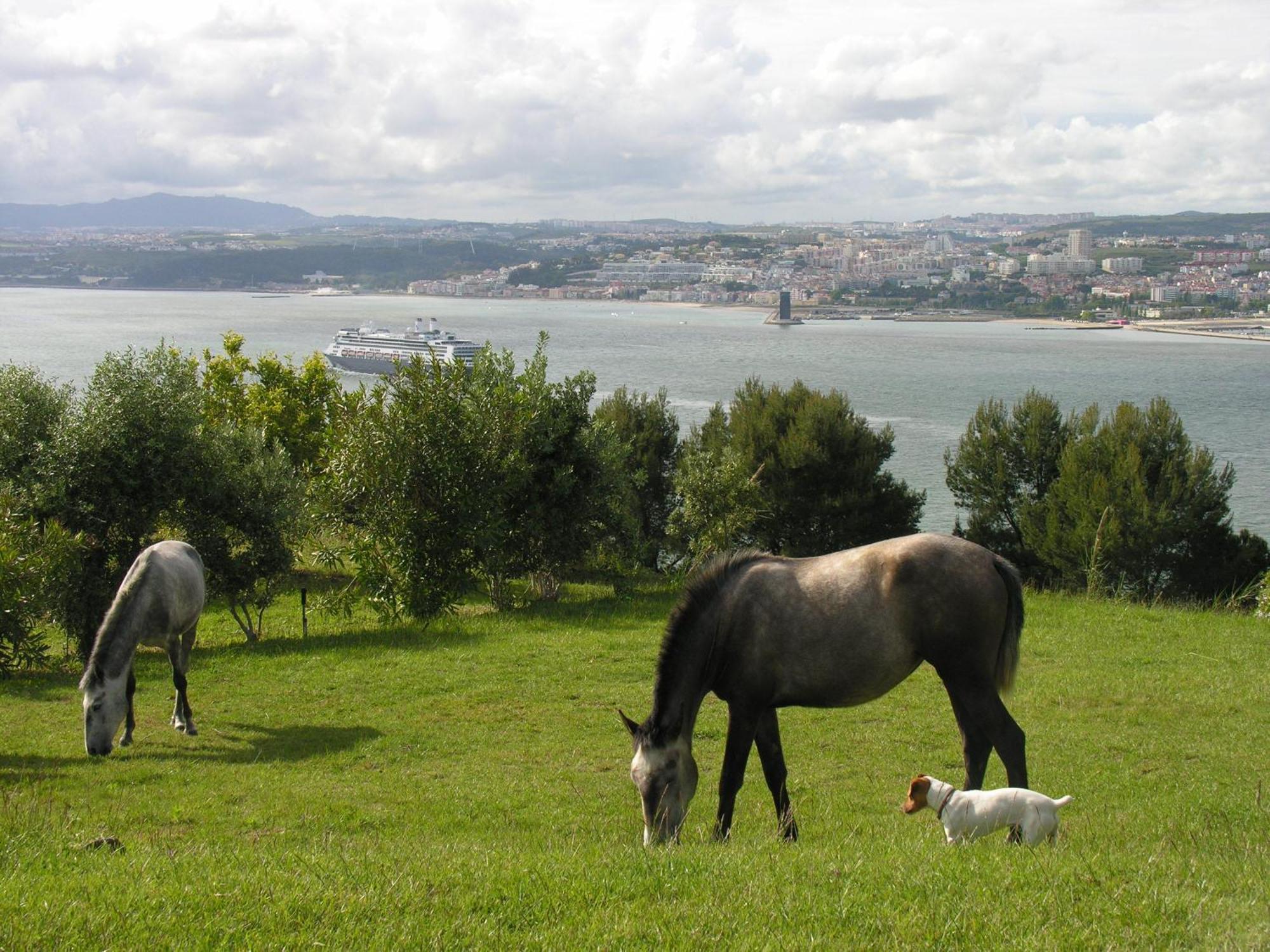 Hotel Quinta Tagus 5*