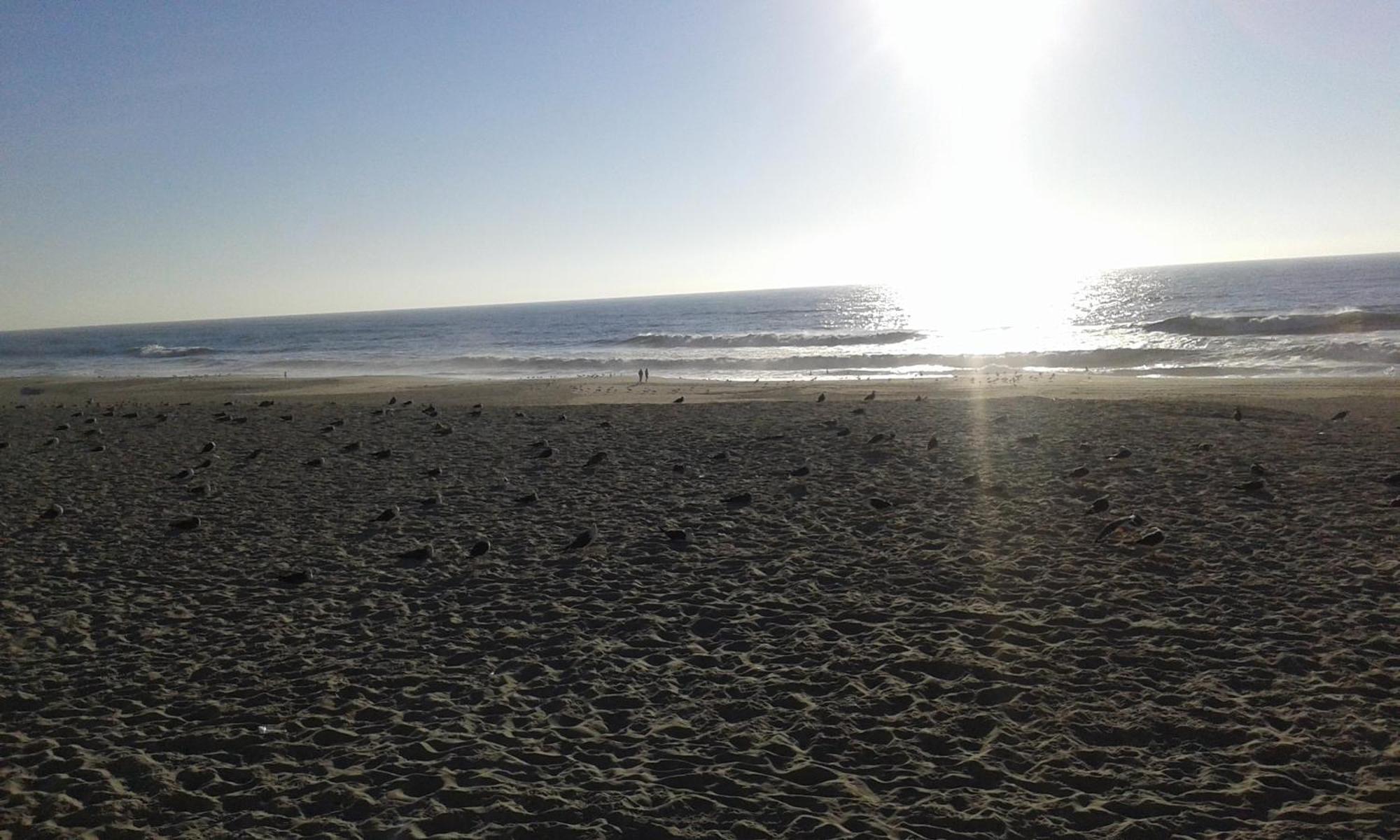 Residencial Do Mar