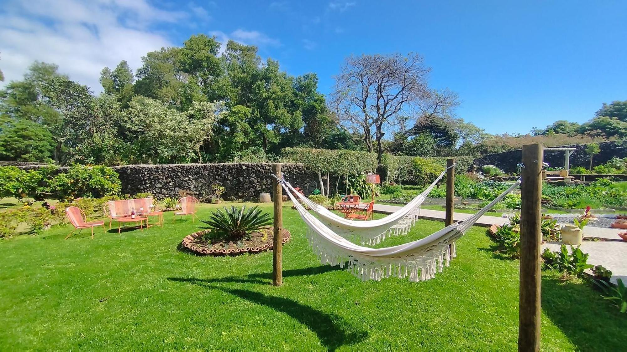 Holiday home Quinta Dos Sentidos , Rustic Holiday Houses In Sao Vicente Ferreira