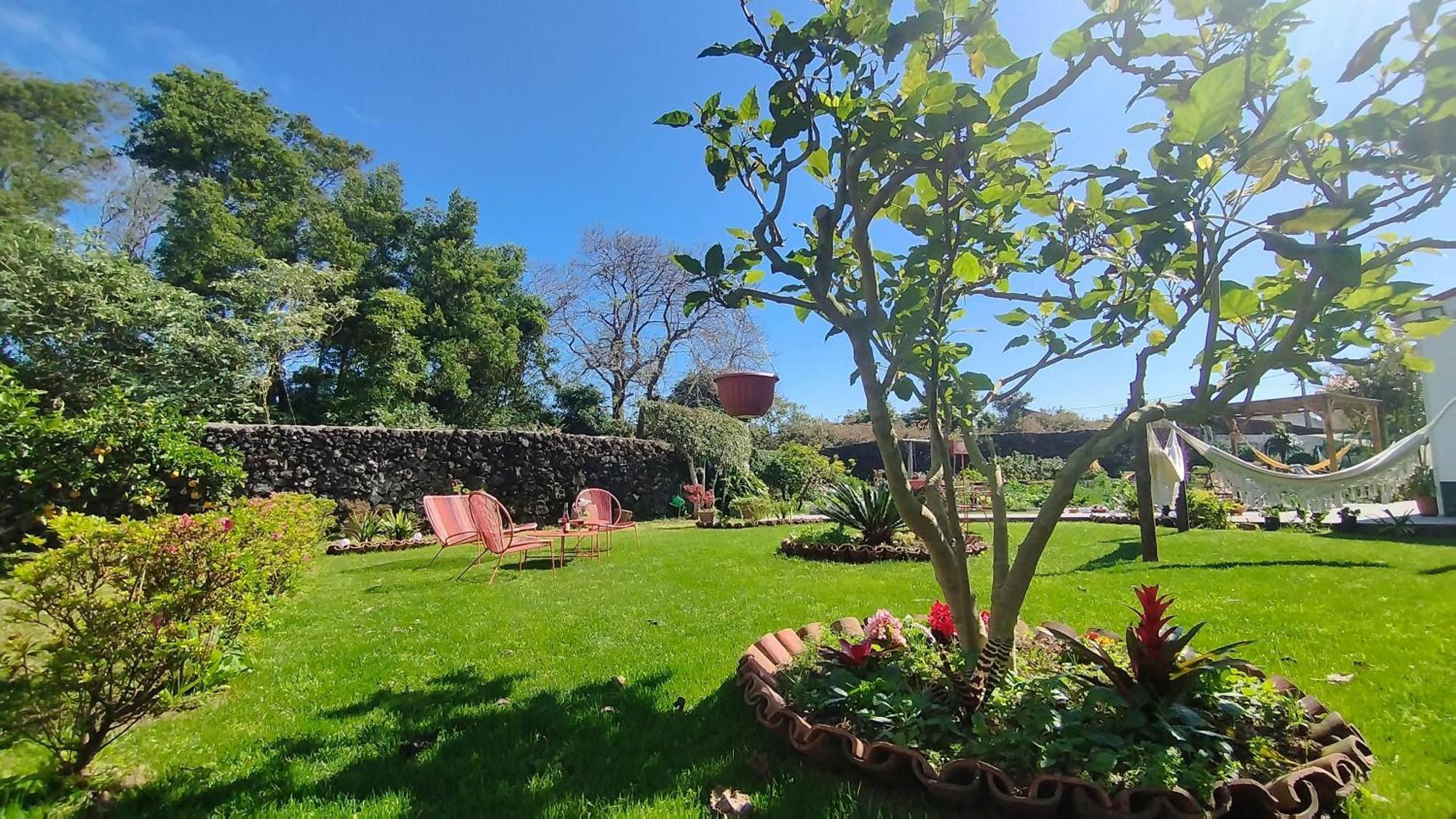 Holiday home Quinta Dos Sentidos , Rustic Holiday Houses In Sao Vicente Ferreira *