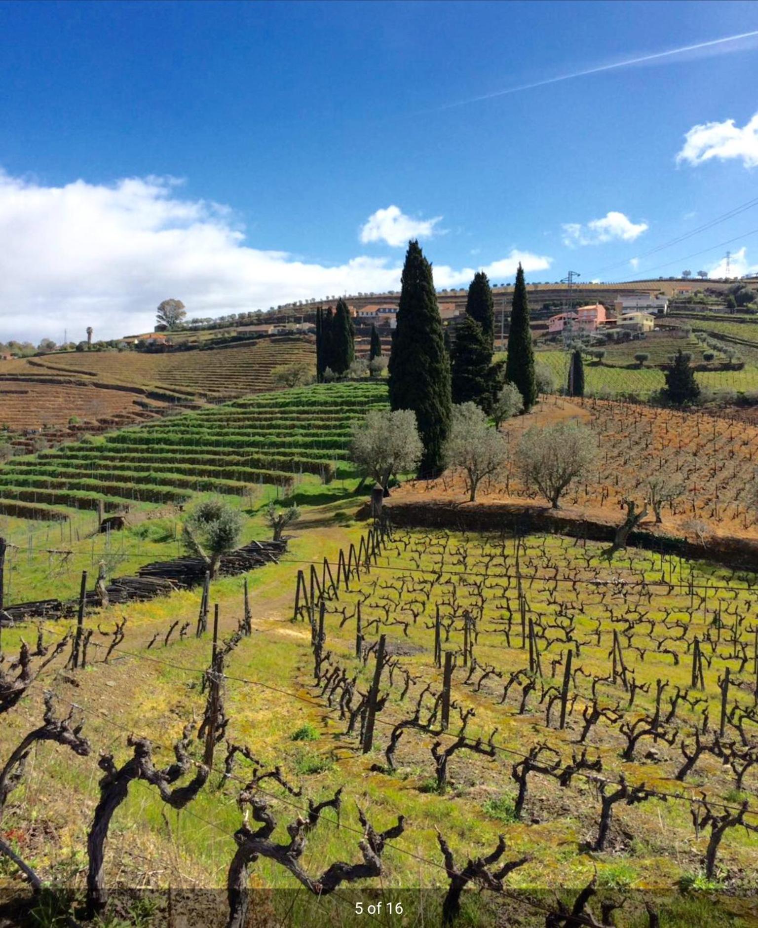Bed & Breakfast Quinta Do Fojo Lamego