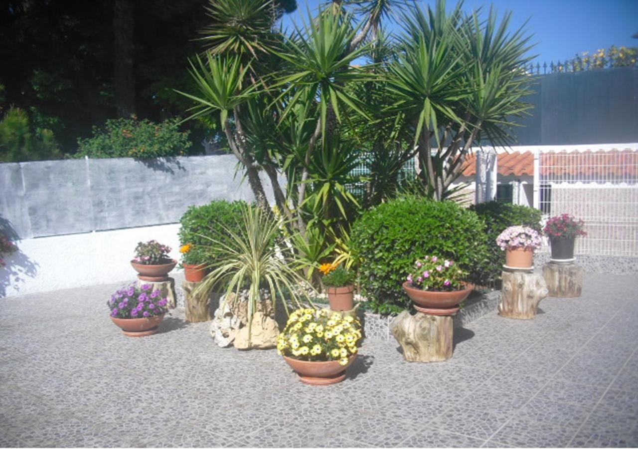 Bed & Breakfast Casa Teresinha Sesimbra